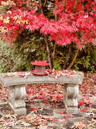 a bench with a red pot on top of it