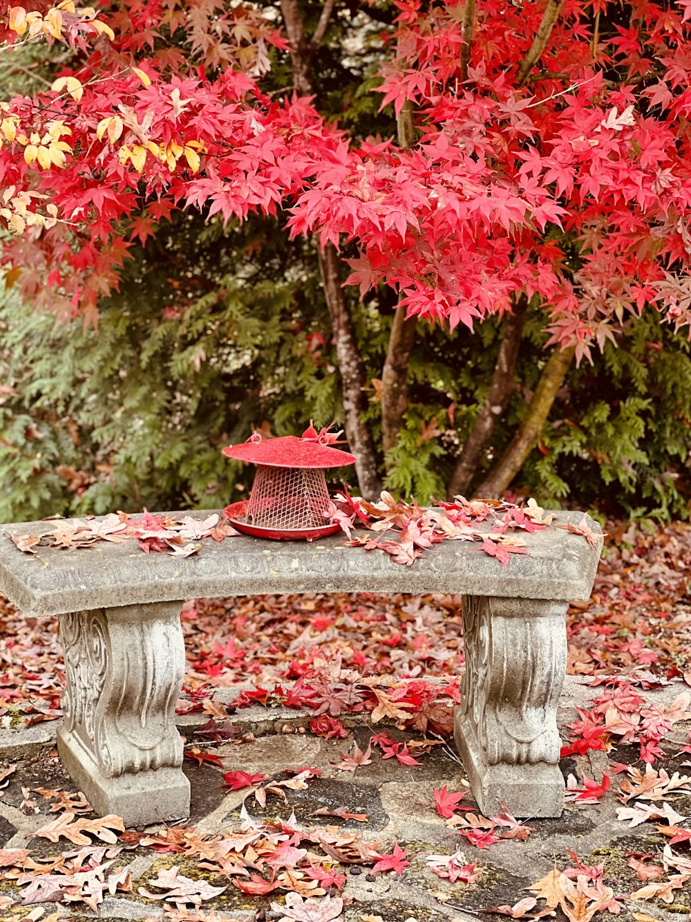 a bench with a red pot on top of it
