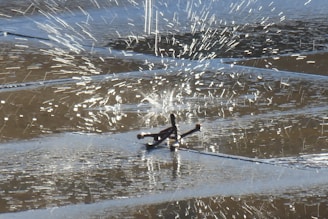 A garden sprinkler sprays water across a surface, creating a pattern of water droplets shimmering in the light. The backdrop shows a grid-like shadow created by the water streaming out in various directions.