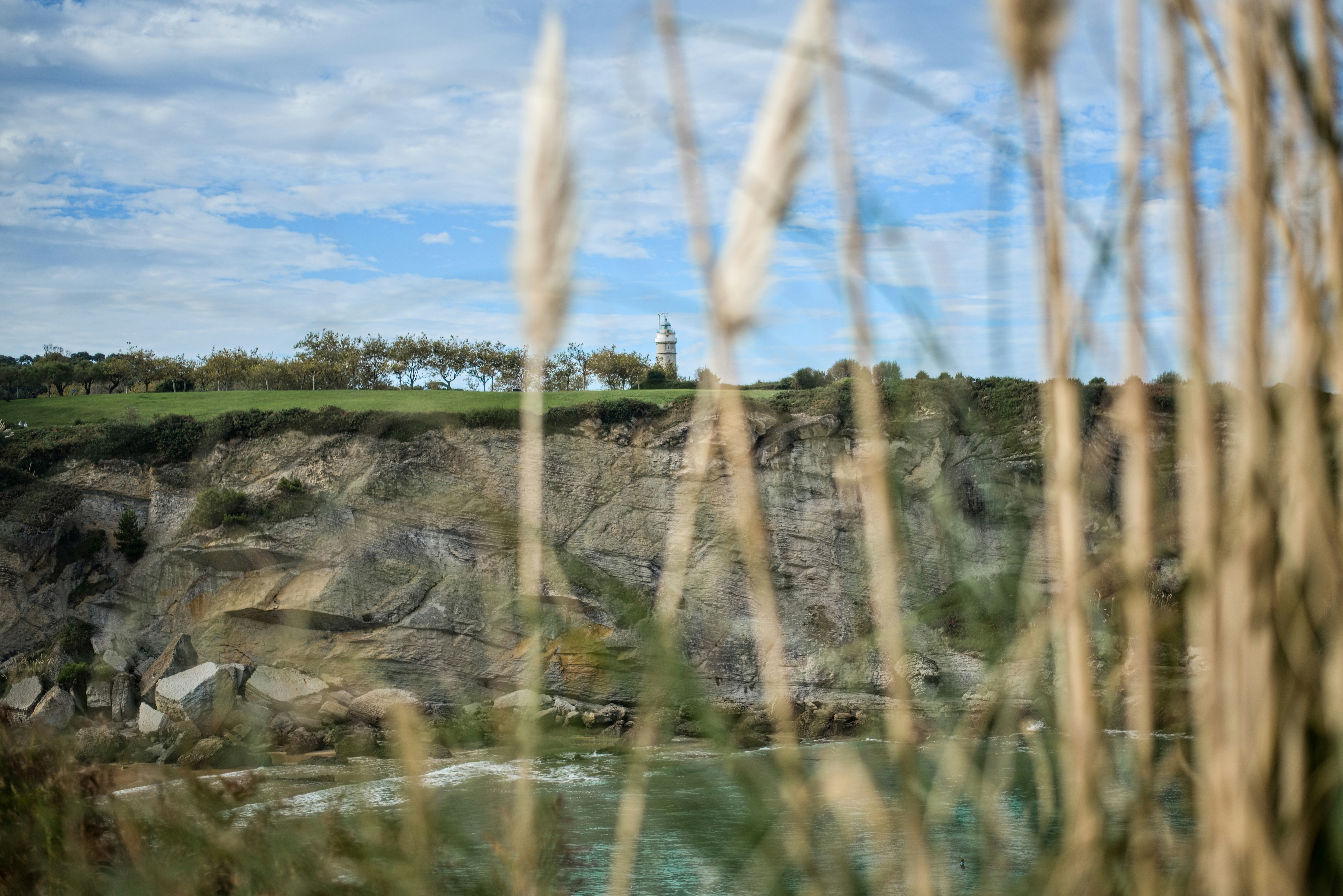 um grupo de árvores ao lado de um corpo de água