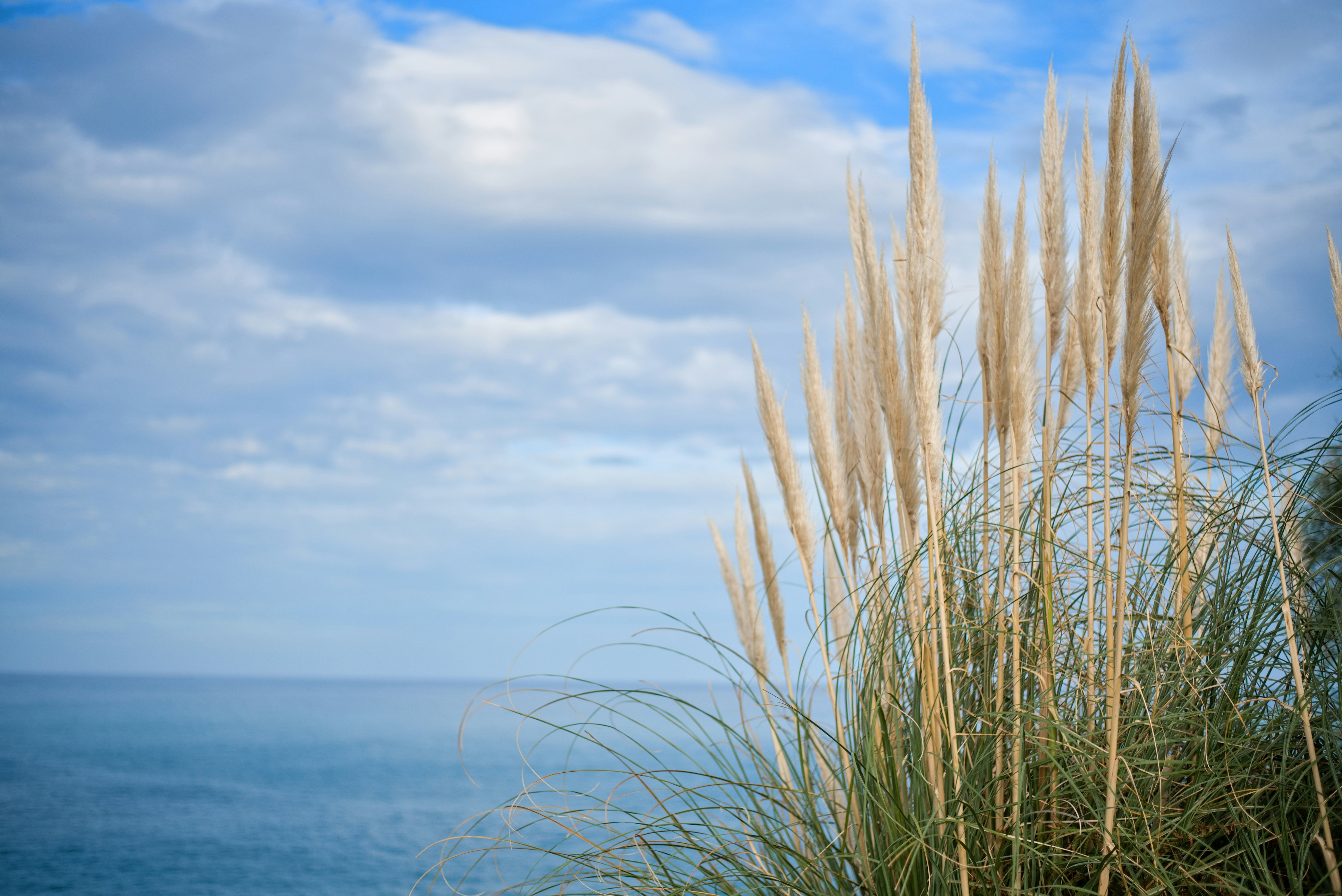 Photo by kaja_kadlecova