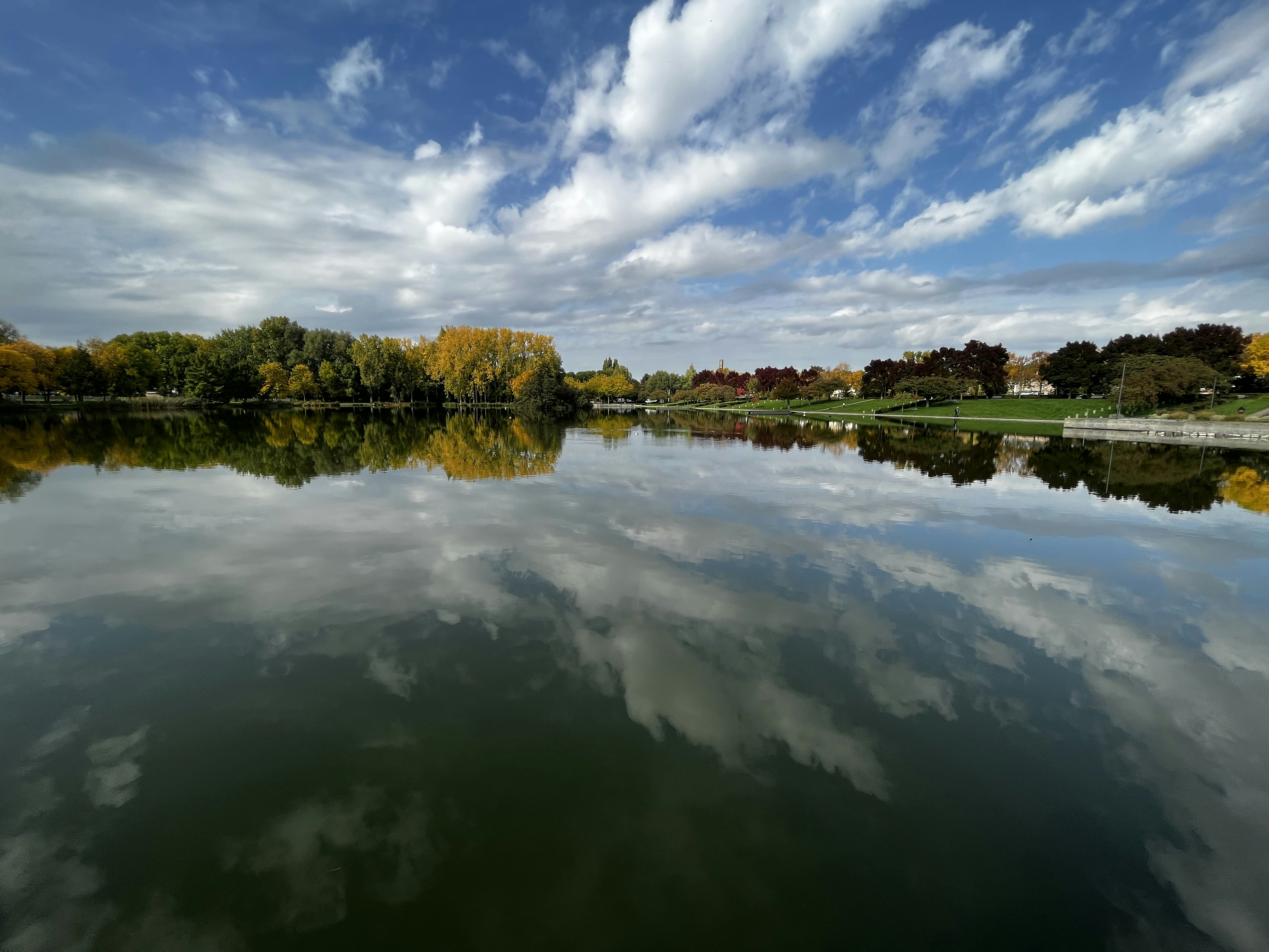 a body of water with trees and blue sky in the background
