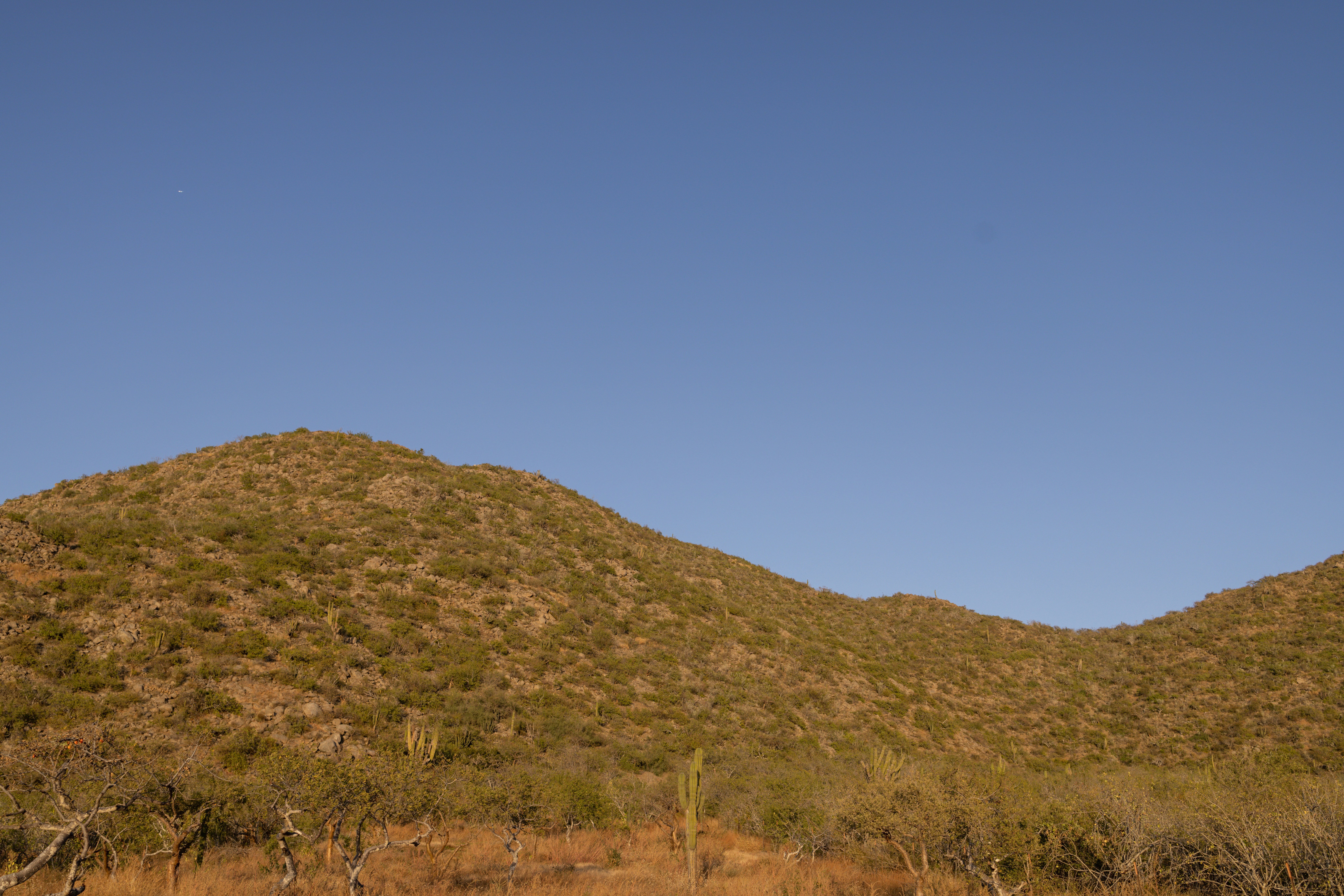 Photo by joshwithers