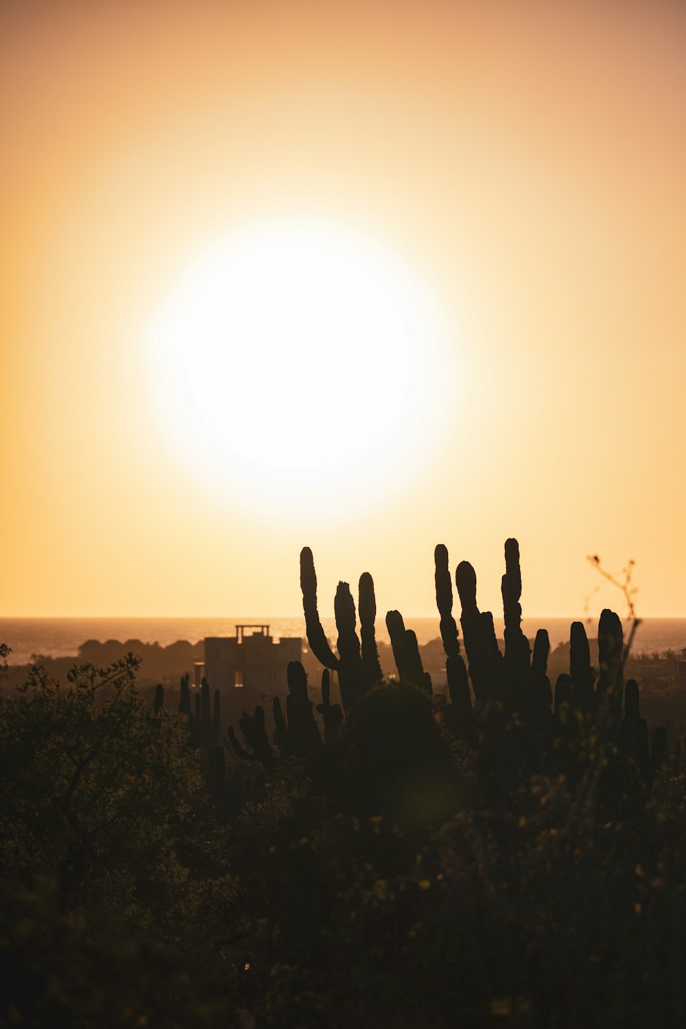 a group of people with their hands up in the air in front of a sunset