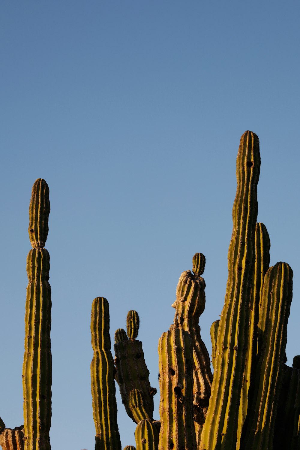 a group of tall statues