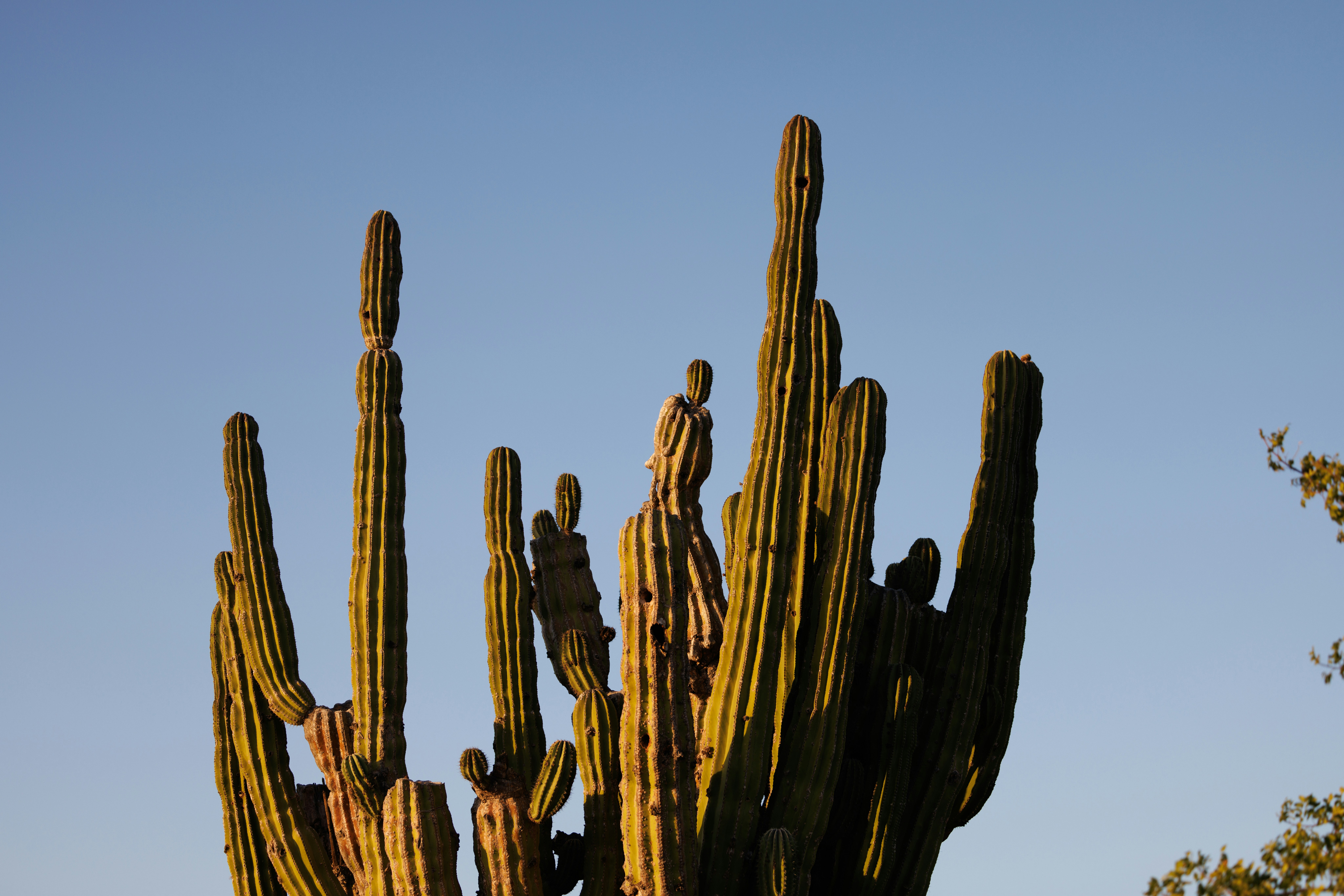 Photo by joshwithers