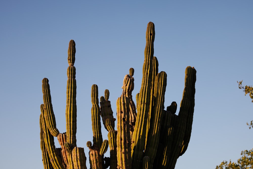 a group of tall statues