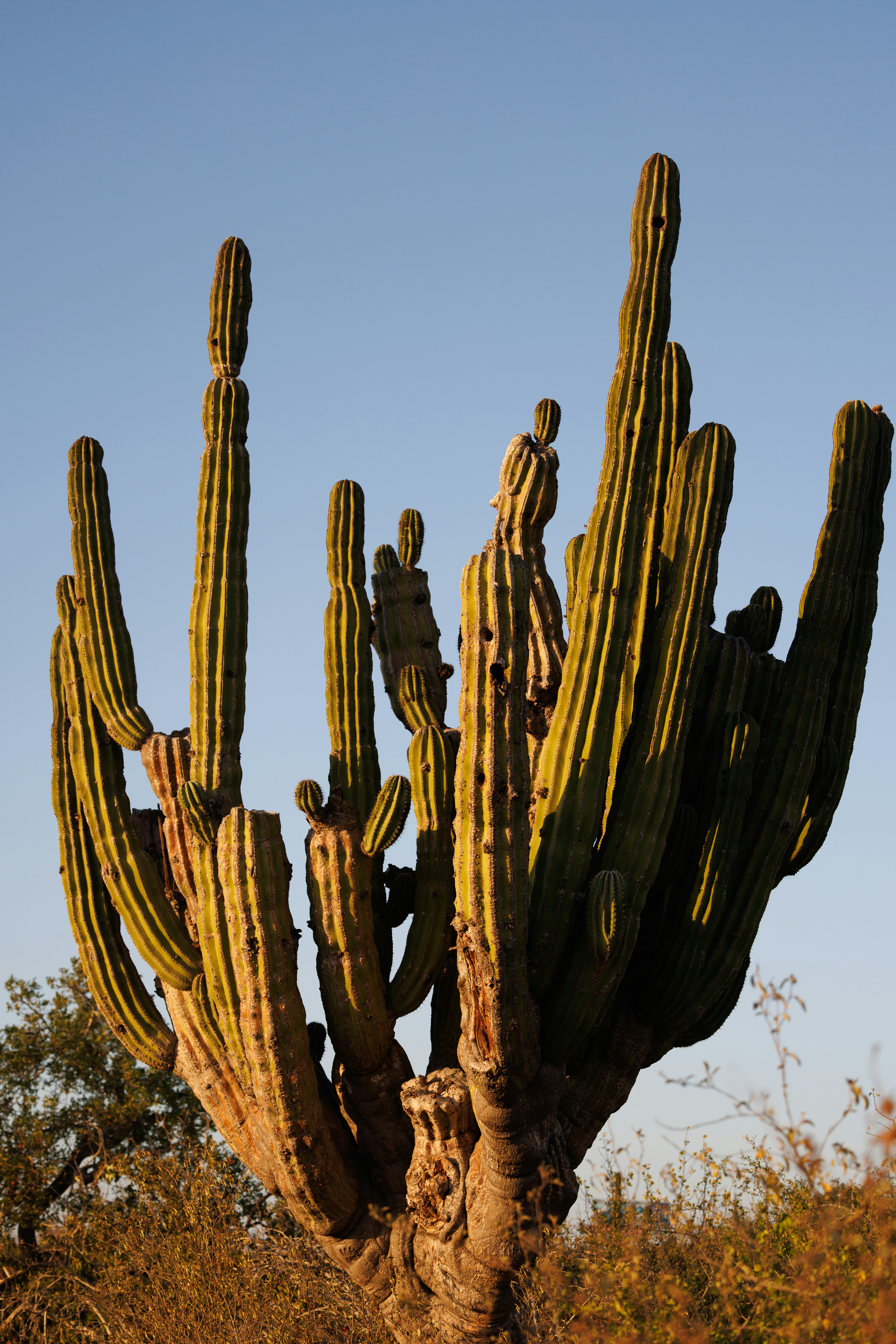 Photo by joshwithers