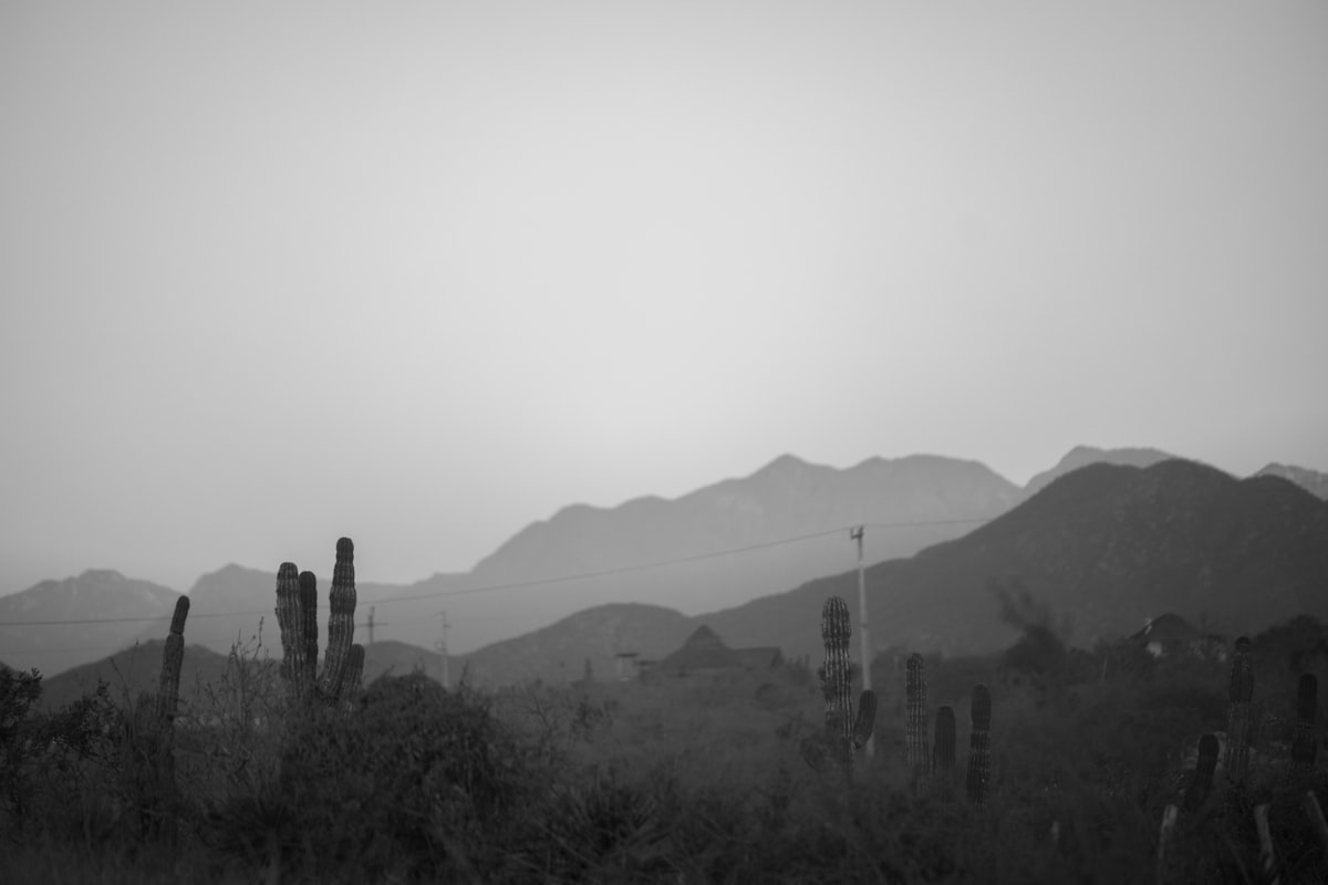 Desierto de Baja California Sur