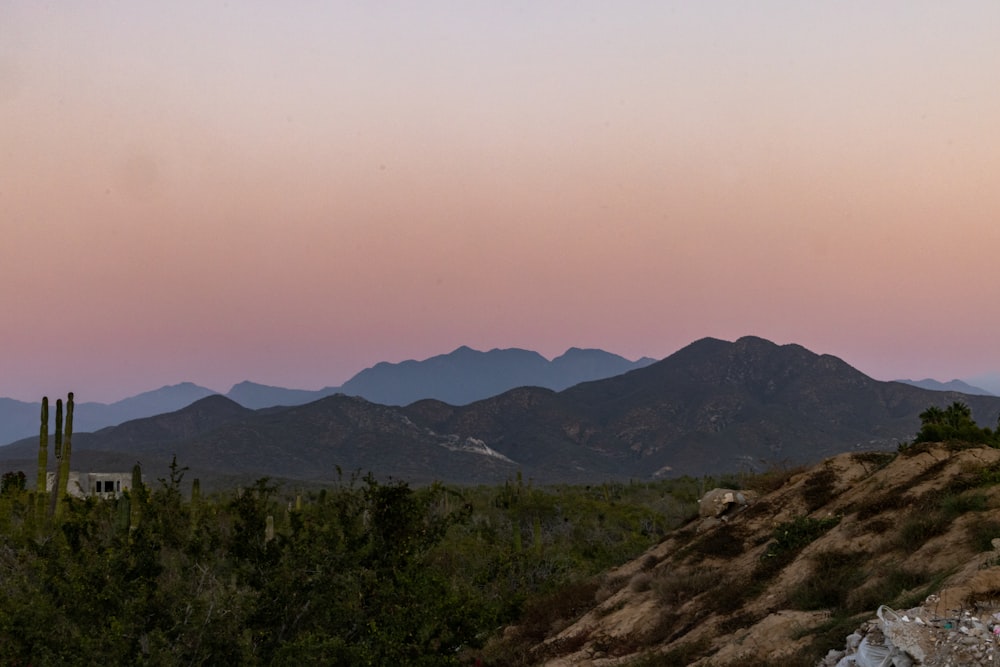 a landscape with trees and mountains in the background