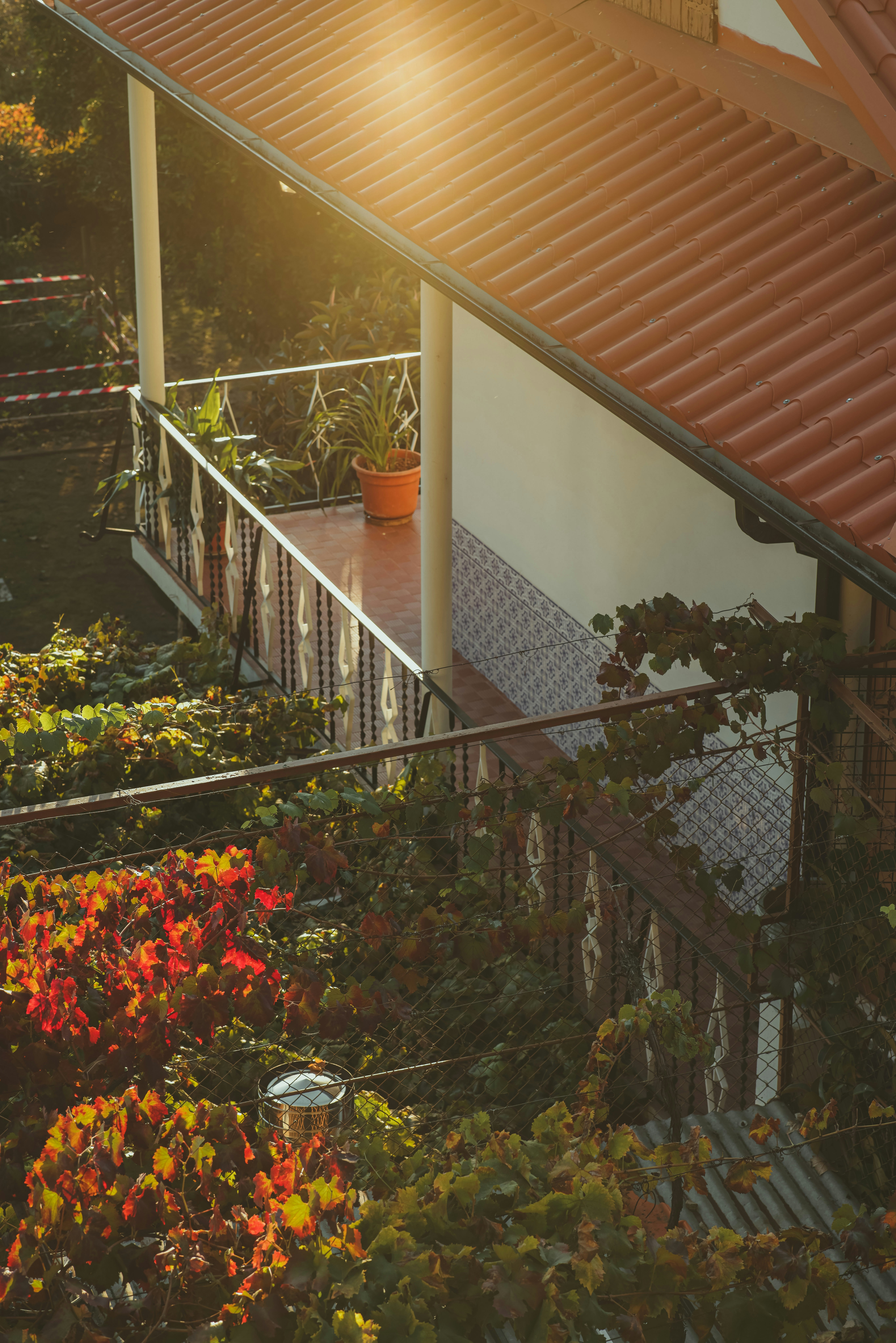 Photo by isaactmitchell