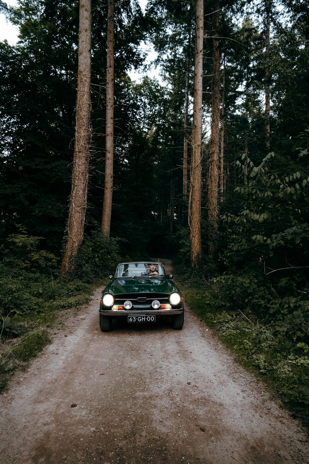 a car on a dirt road surrounded by trees