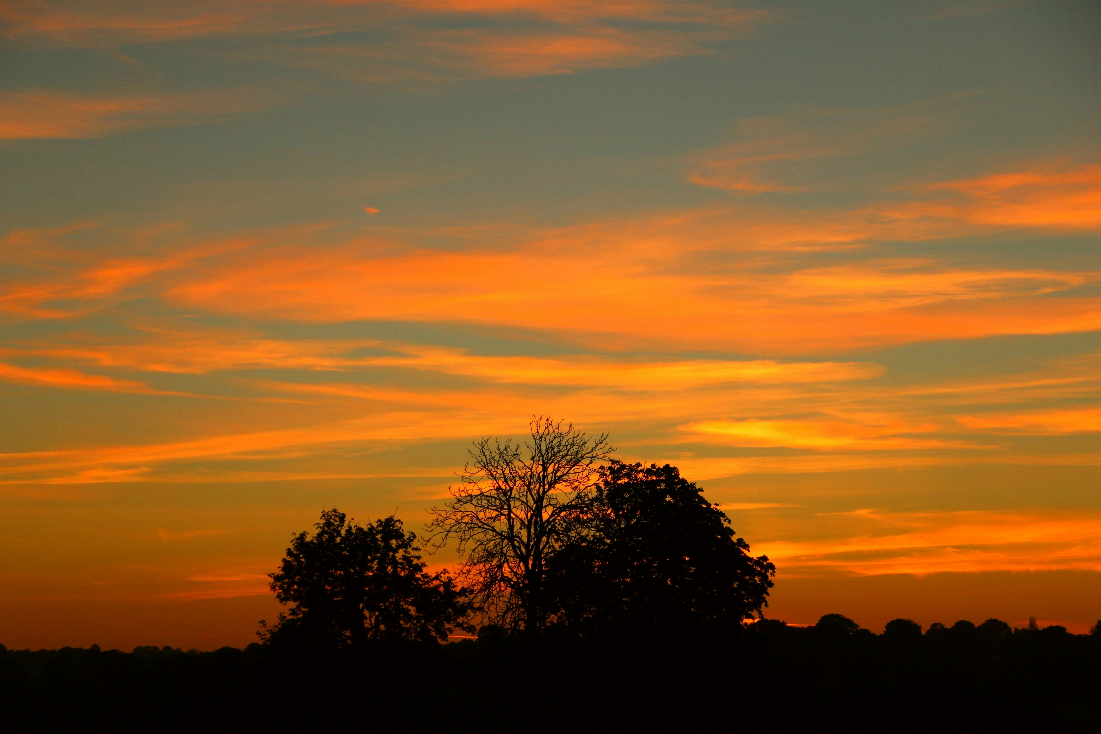 Photo by haim_charbit18