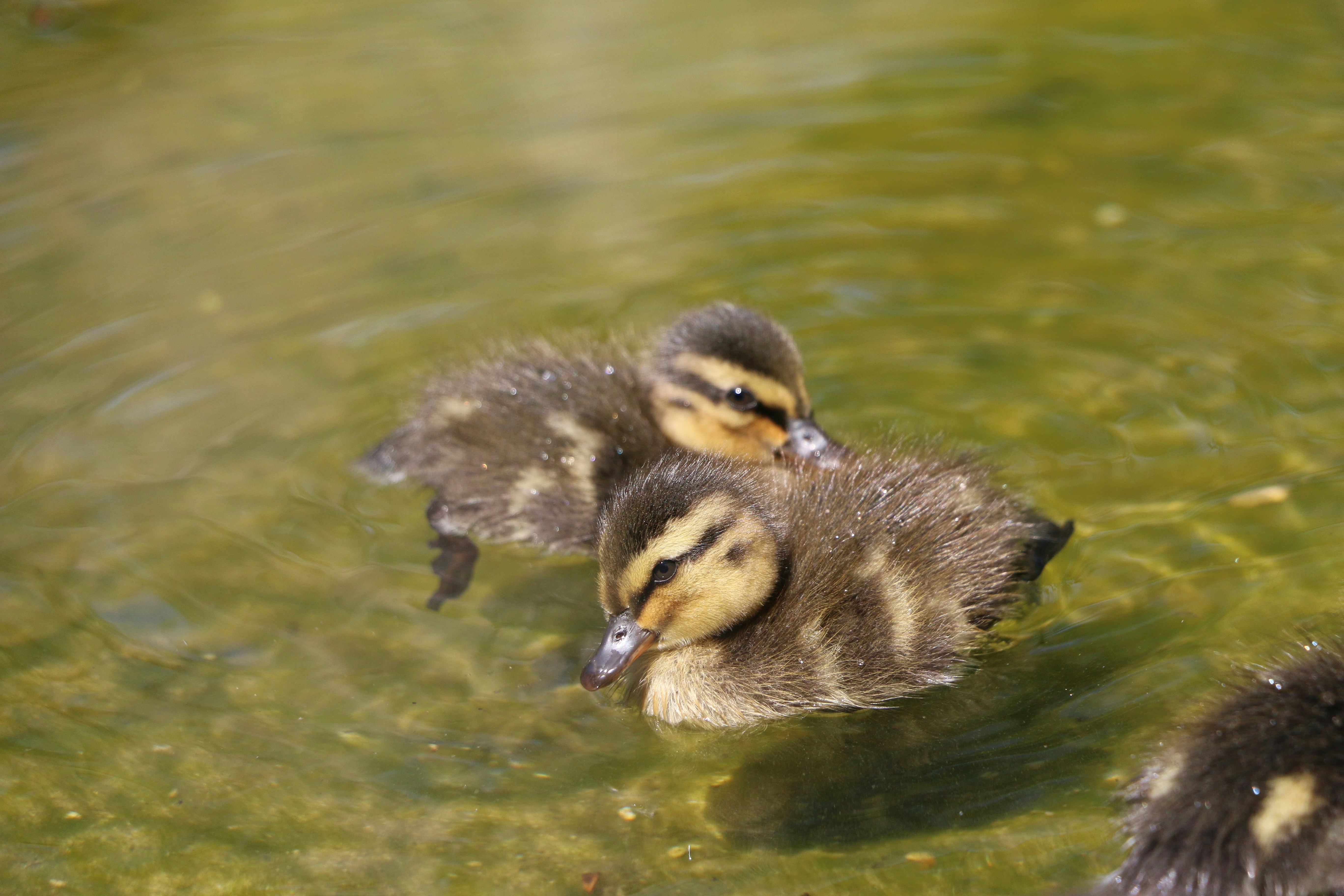 Photo by haim_charbit18