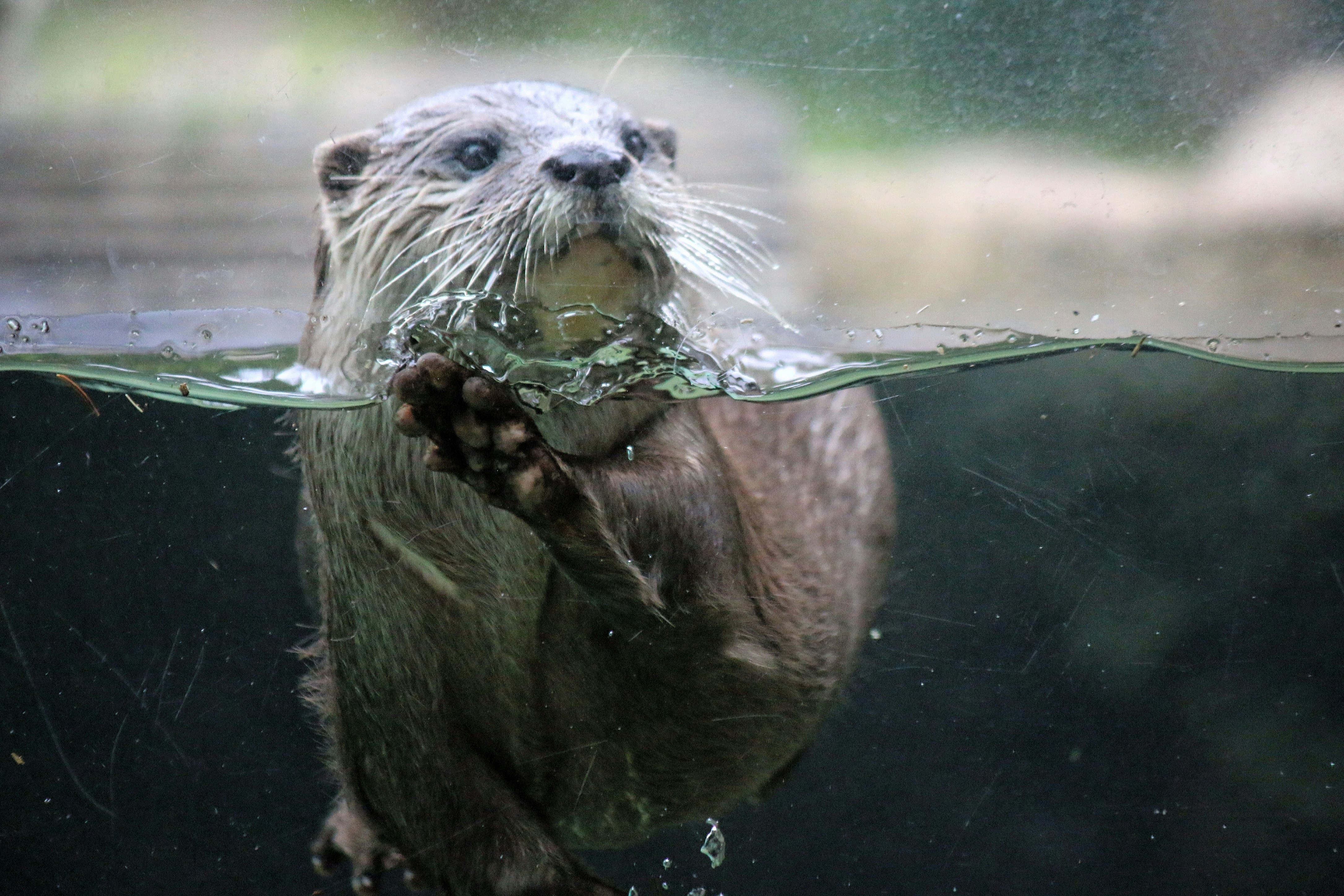 Photo by haim_charbit18