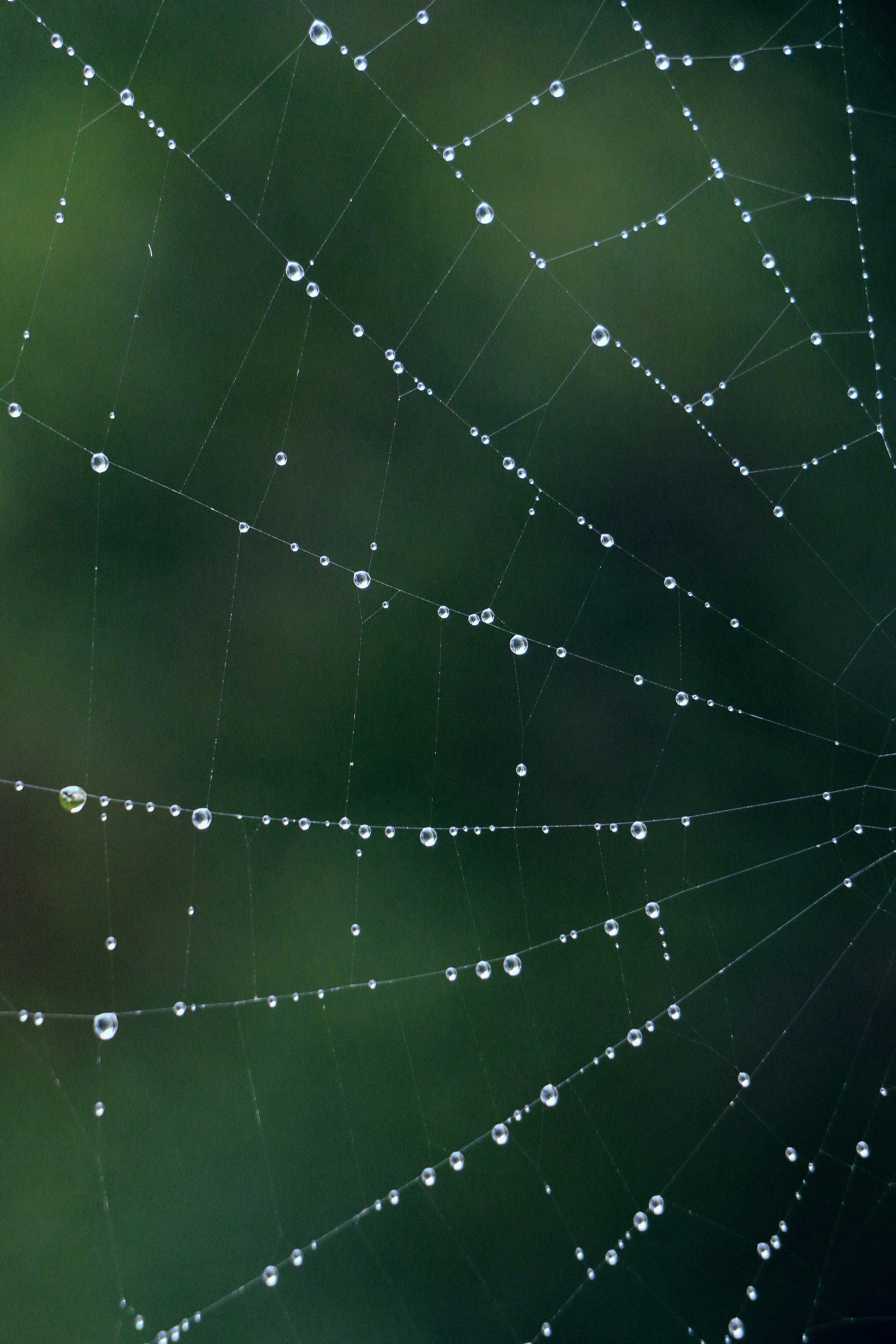 Photo by haim_charbit18