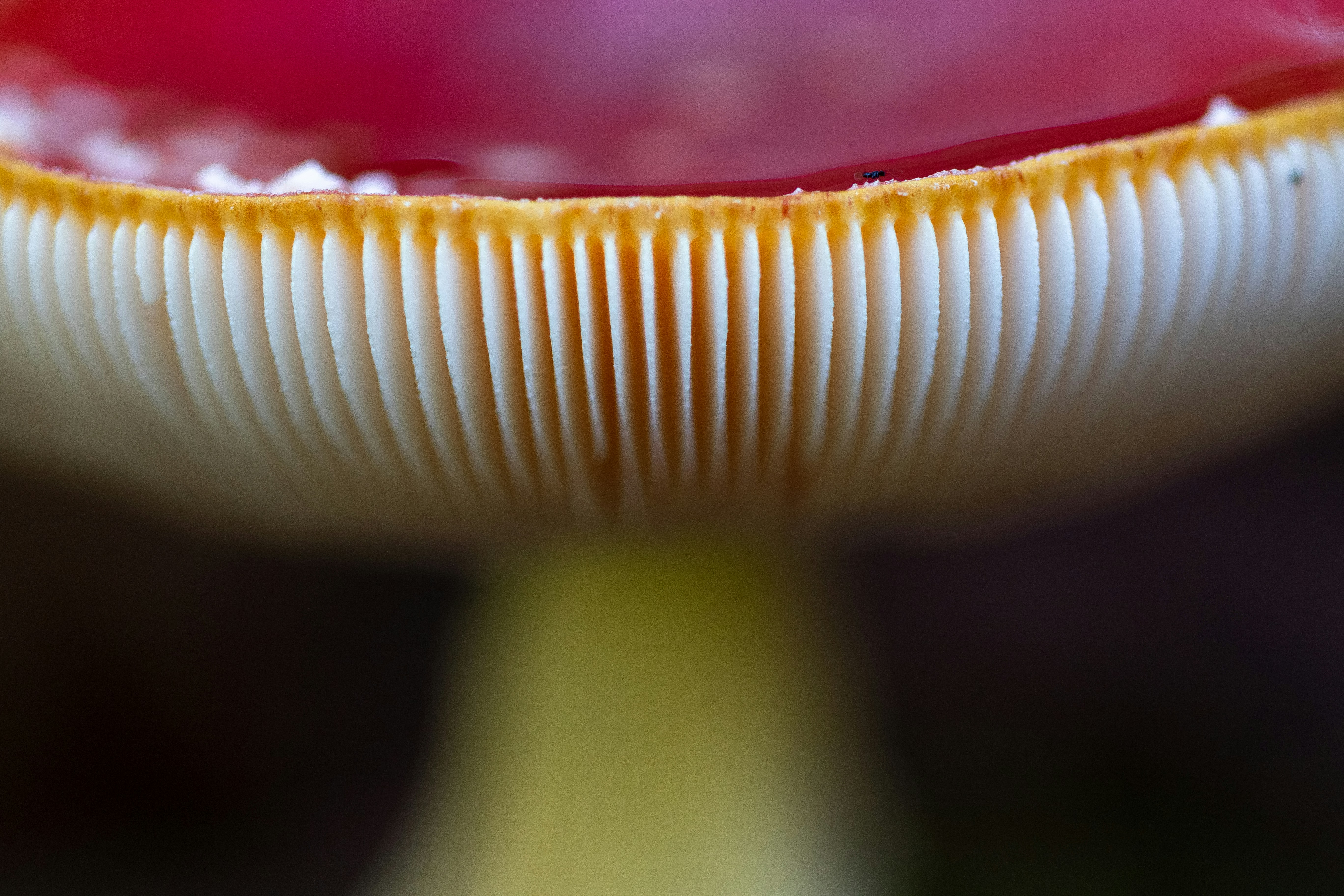 a toothbrush is placed on the counter