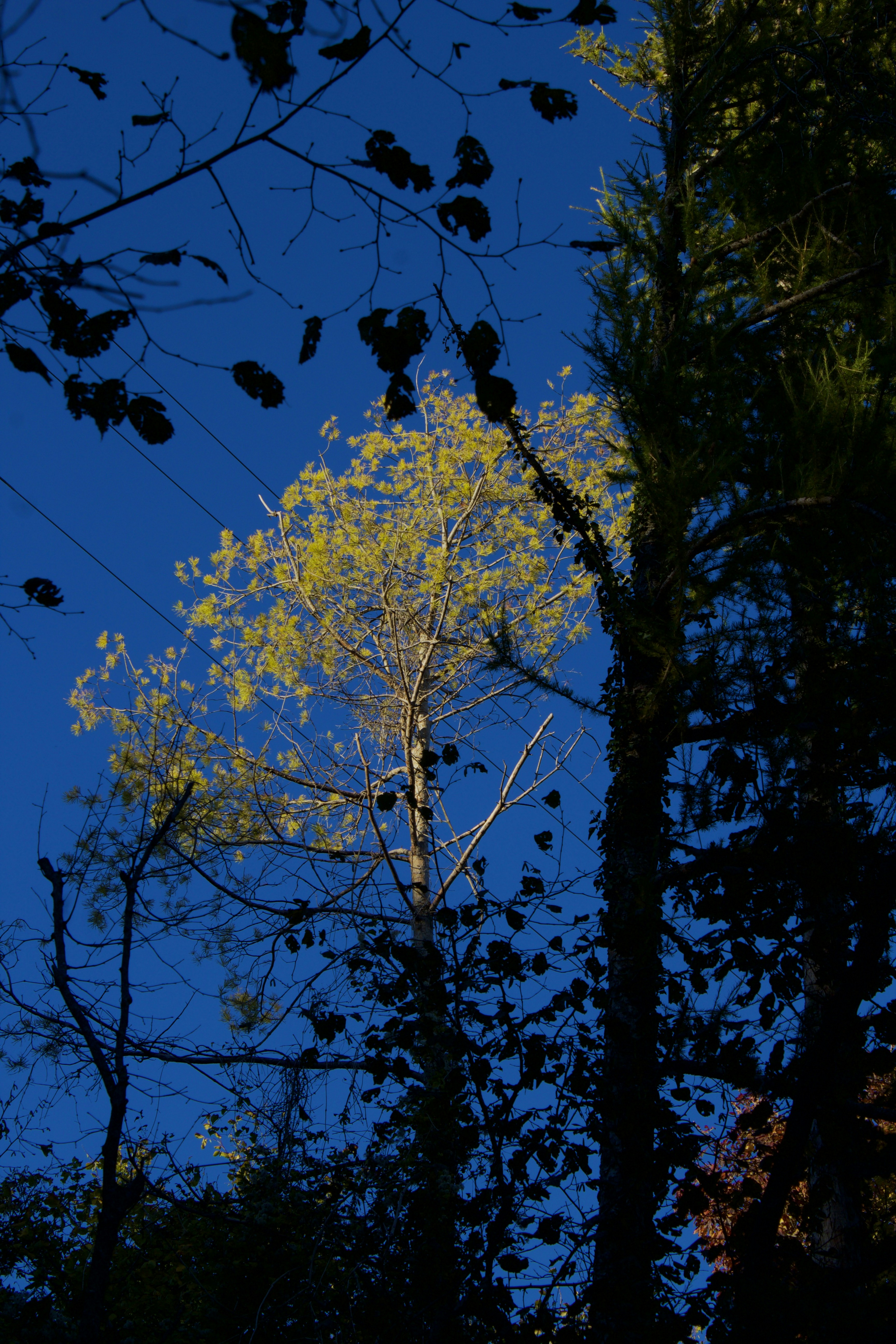 Photo by photosbyedoardo