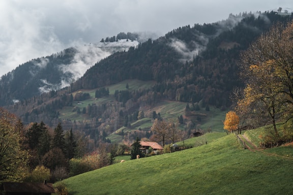 a house on a hill with trees and mountains in the background