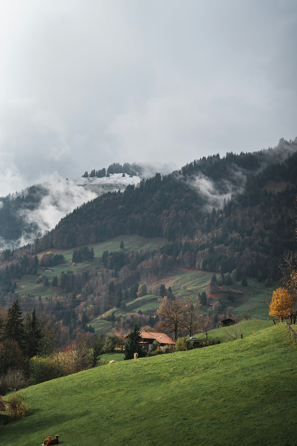 a house on a hill with trees and a waterfall