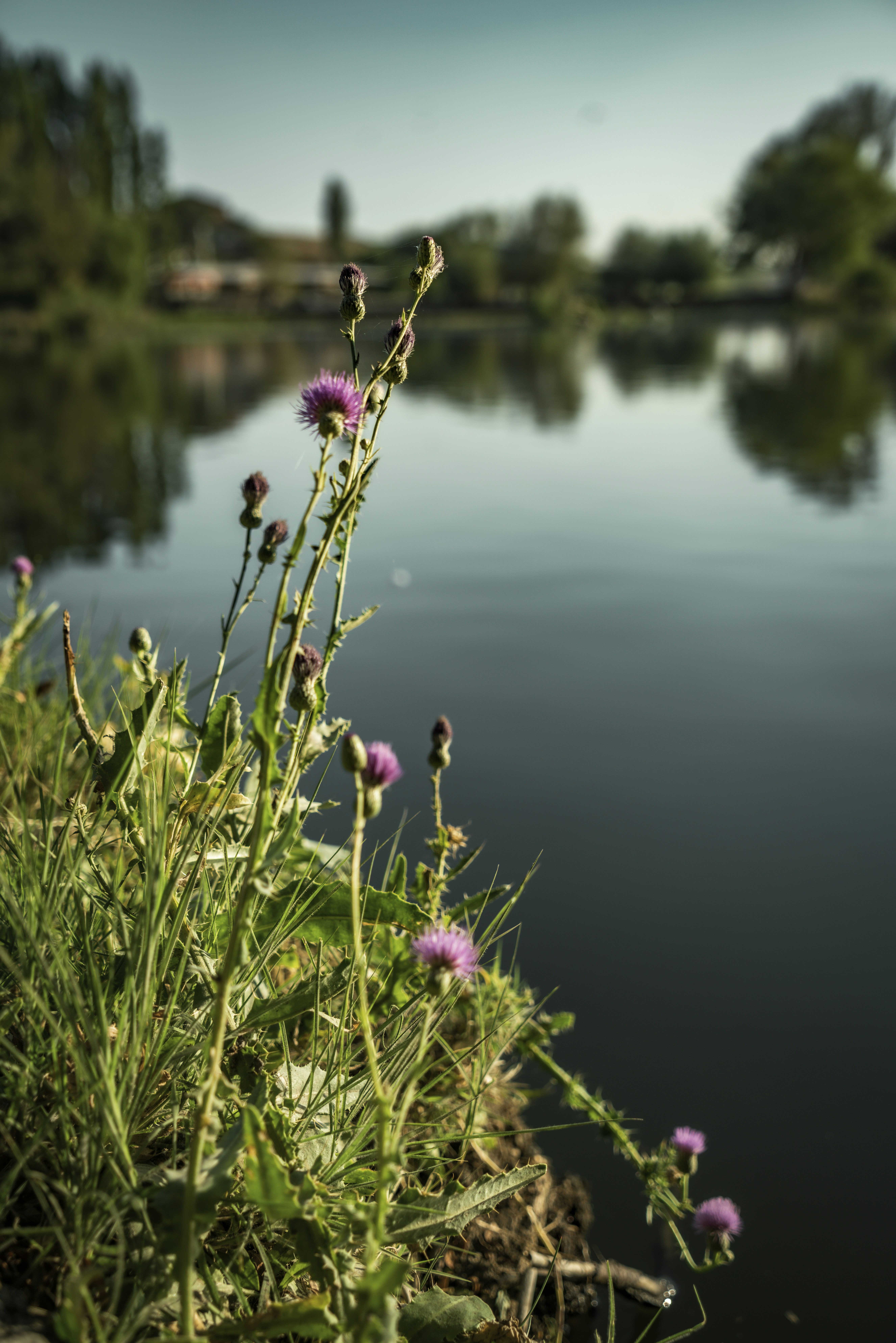 Photo by zeynepsudephoto