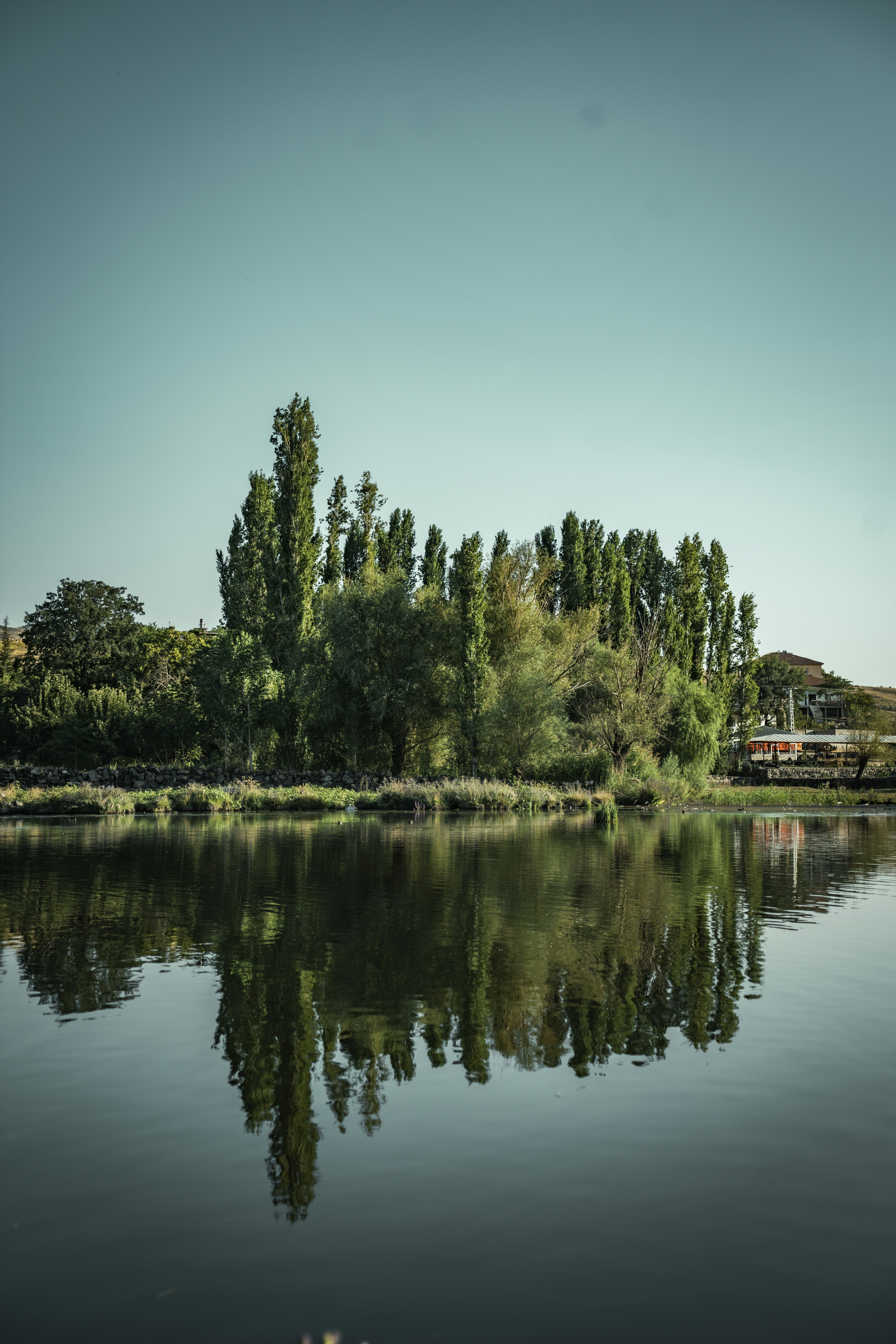 Photo by zeynepsudephoto