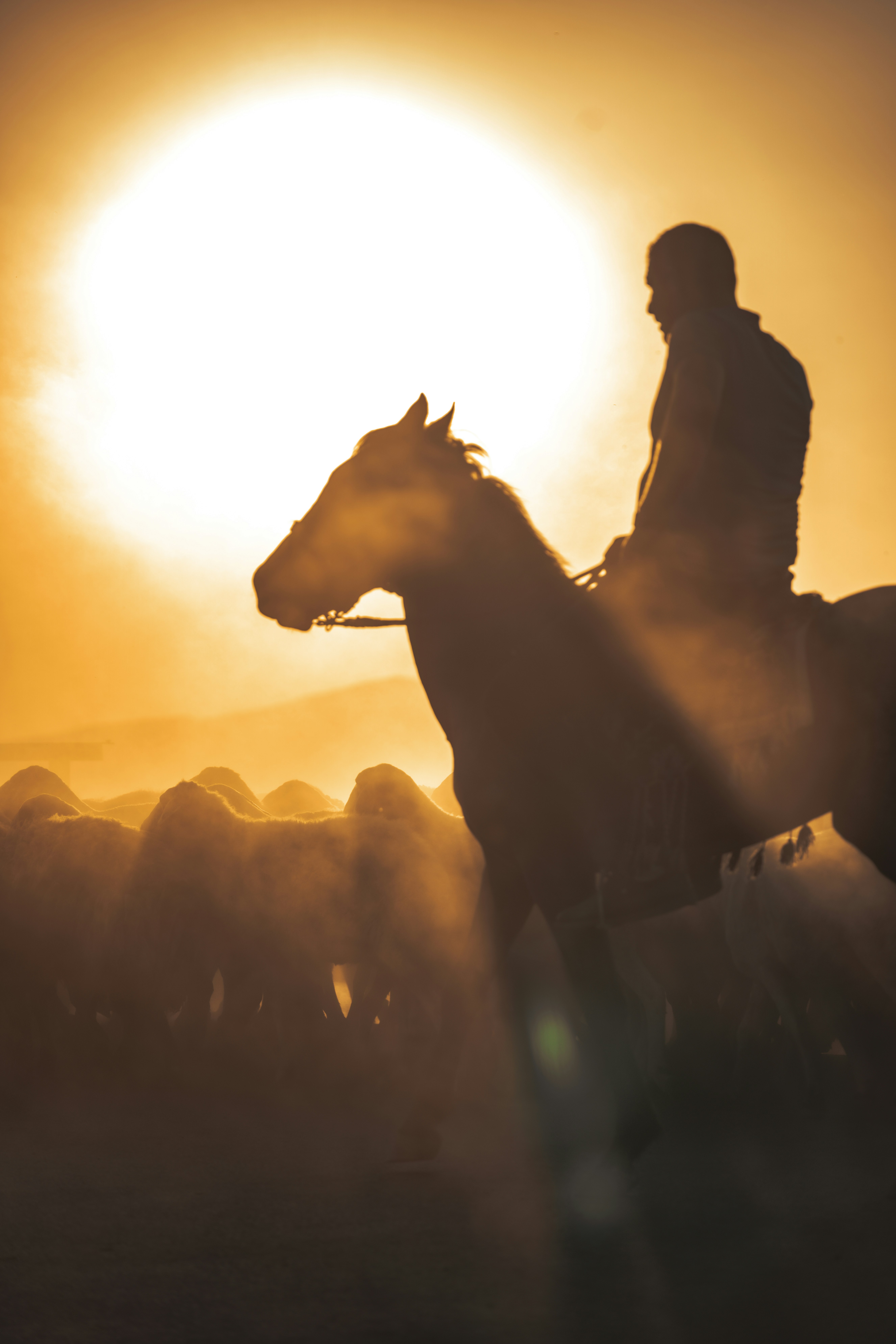 Photo by zeynepsudephoto