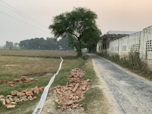 Aligarh