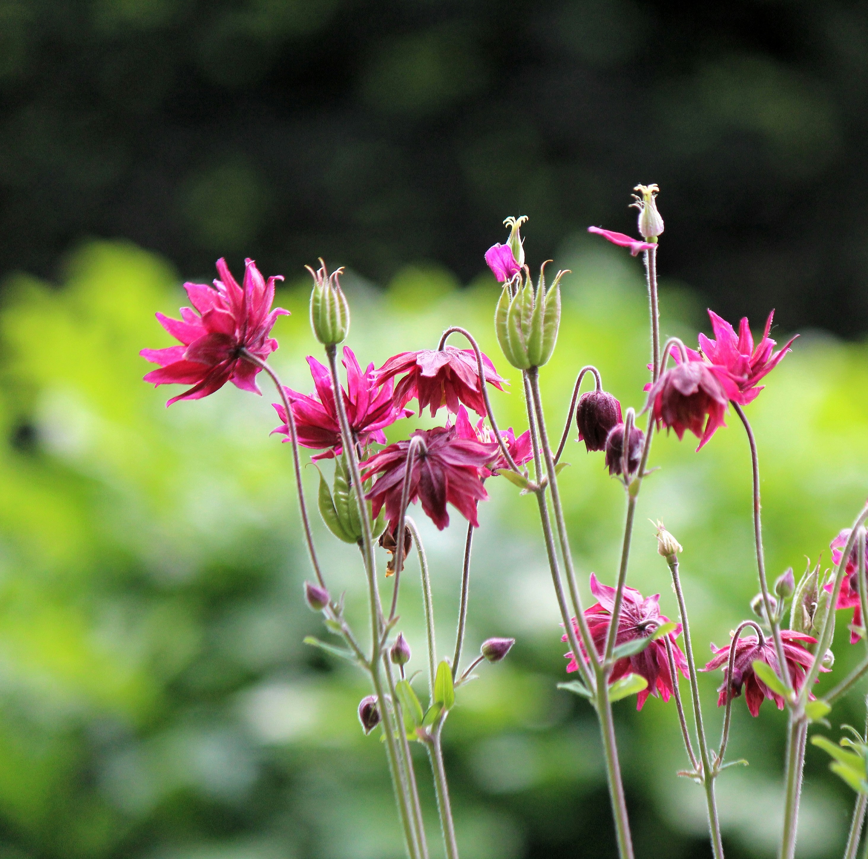 Photo by haim_charbit18