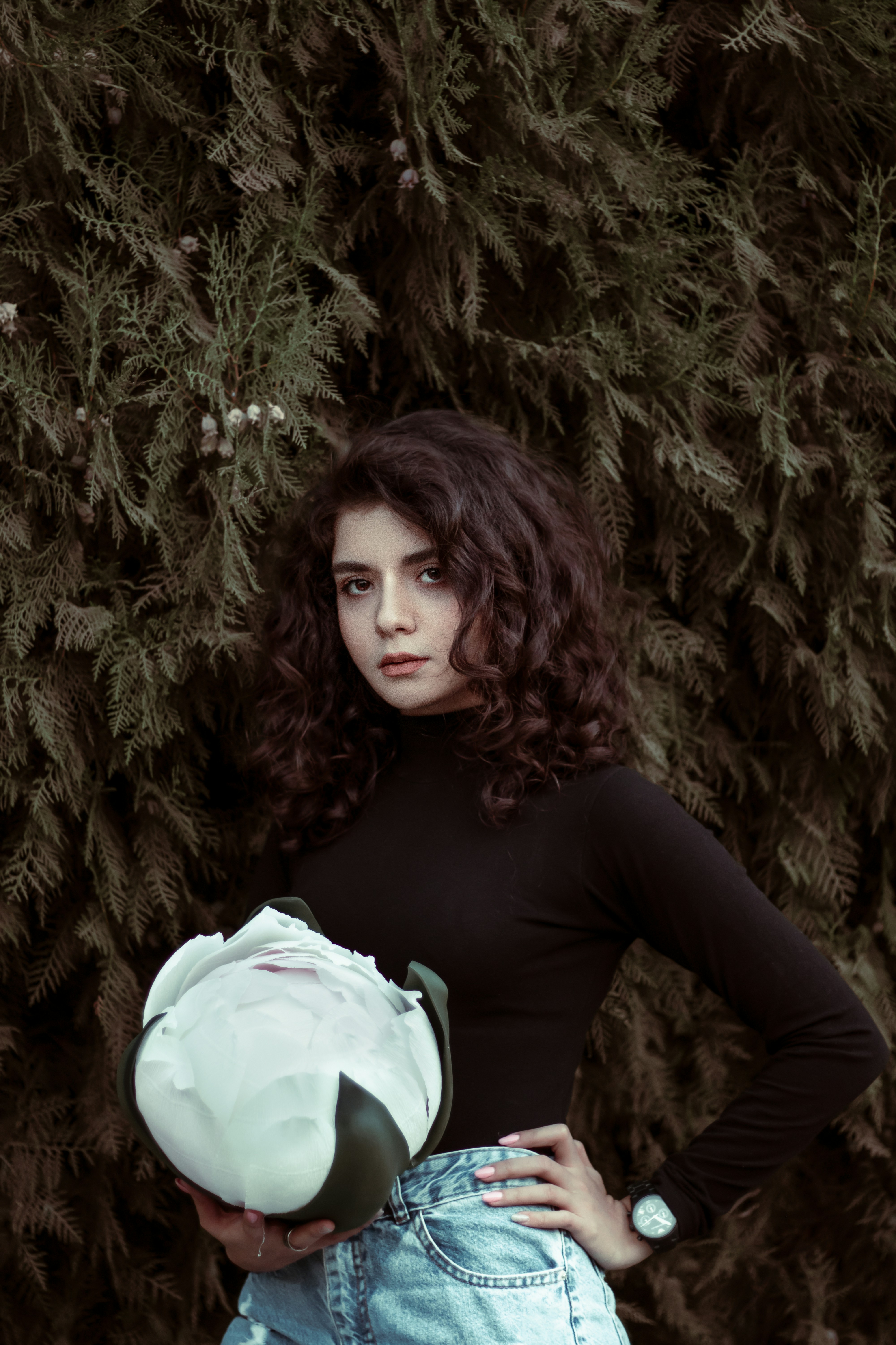 Photo by mahdibafande