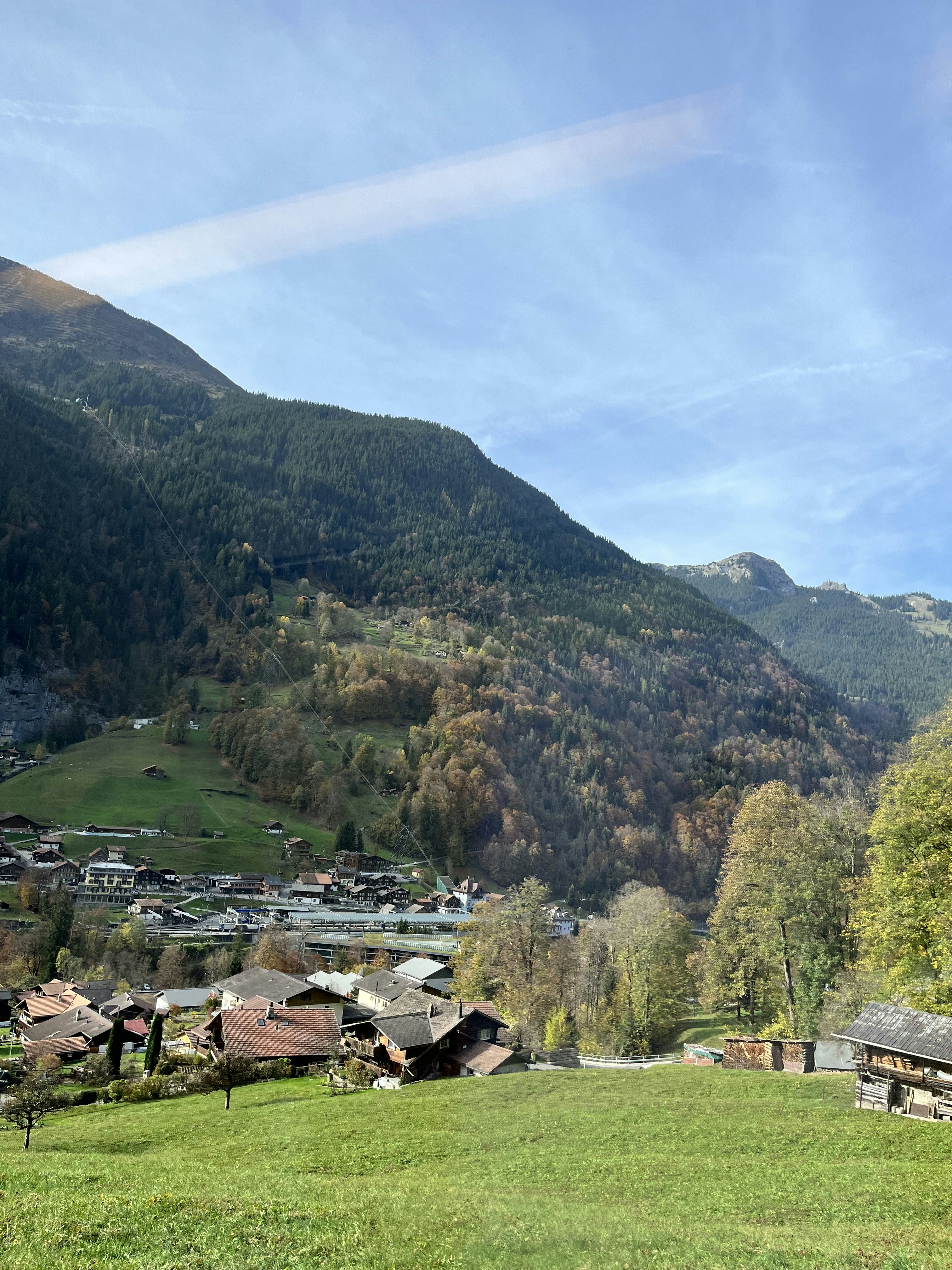 a valley with houses and trees