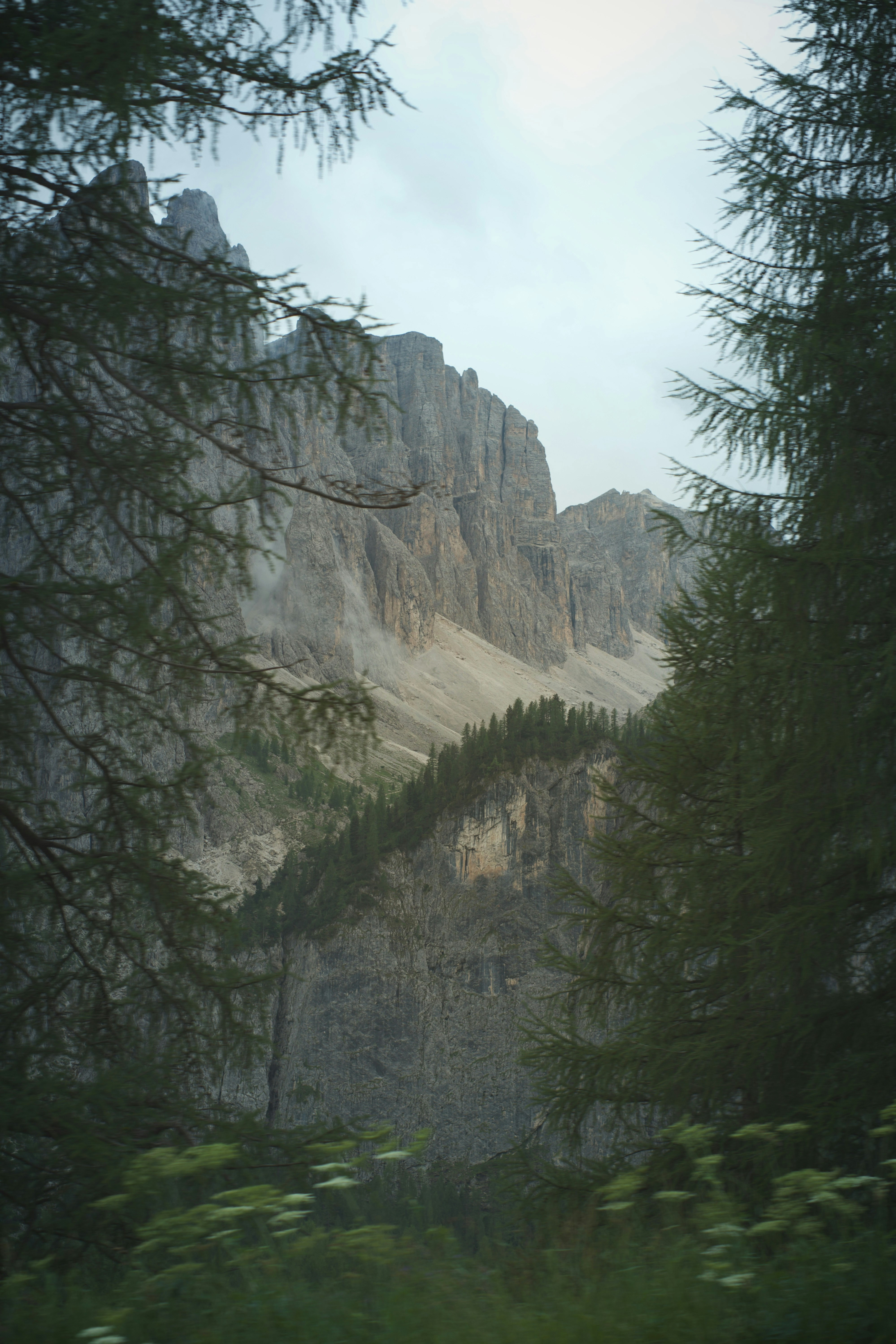 Photo by lizzyzhou_13