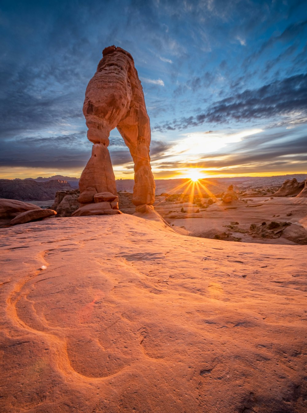 a camel standing on a rock with Arches National Park in the background