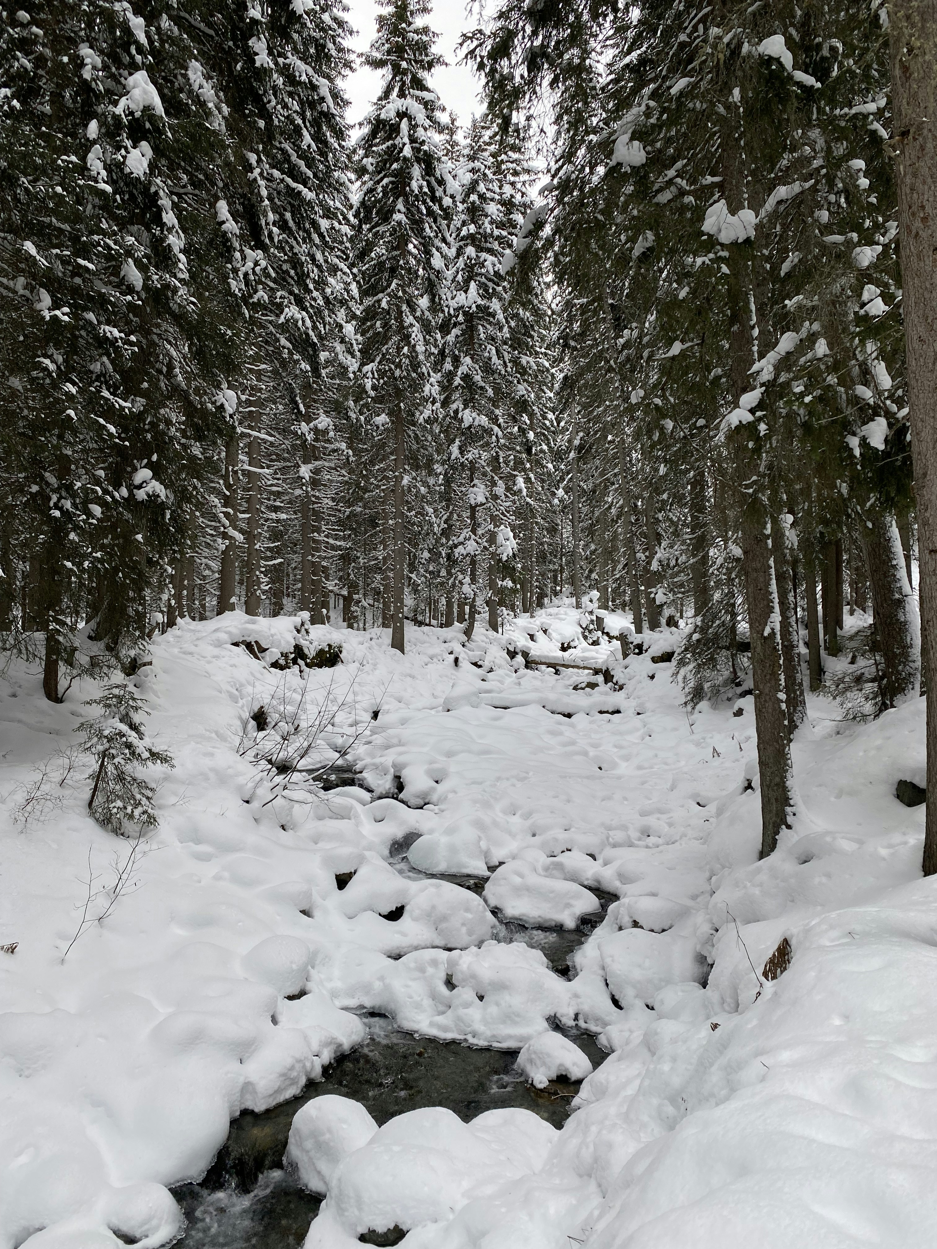 Photo by margaritadecolores