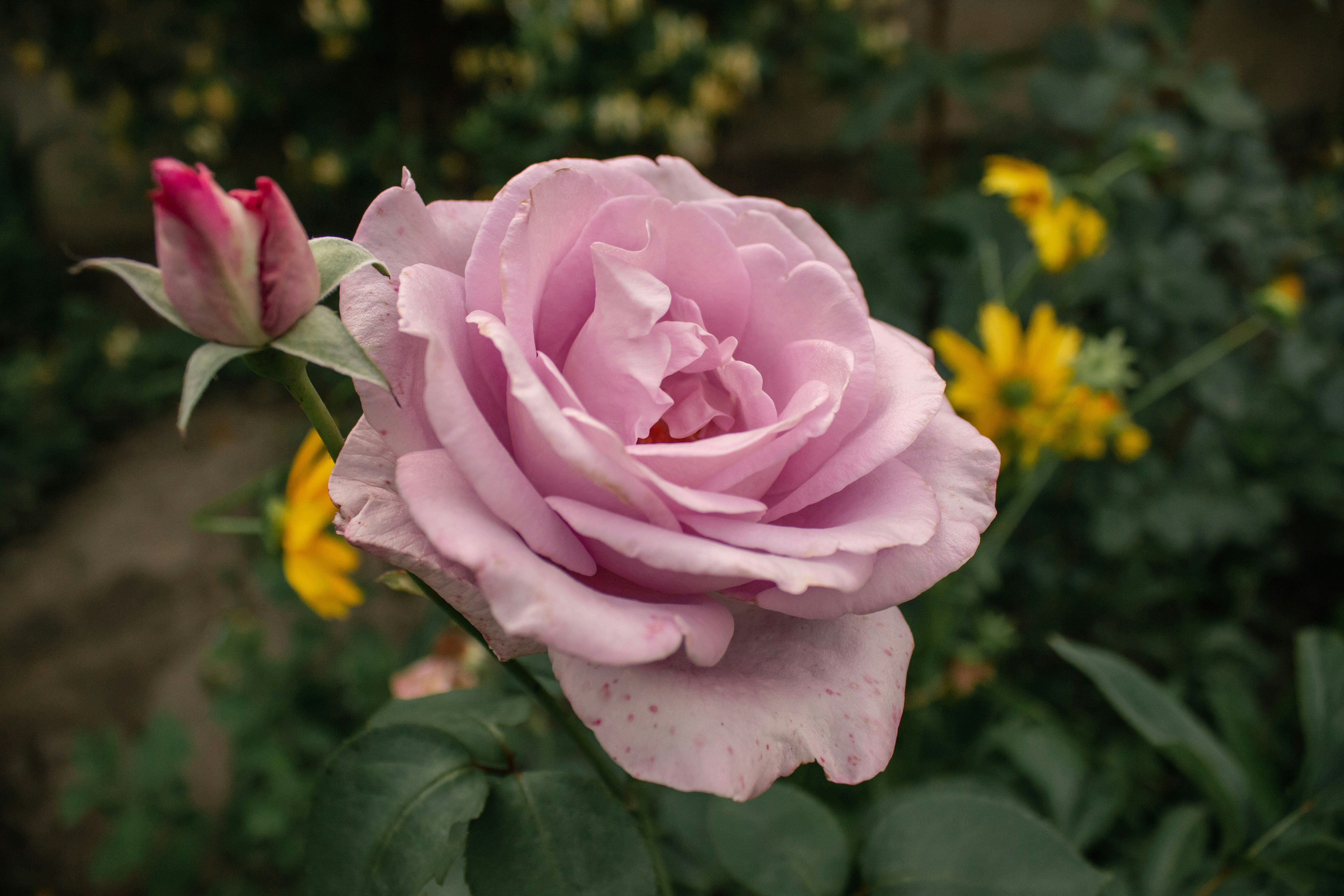 Photo by reanimatedmanx