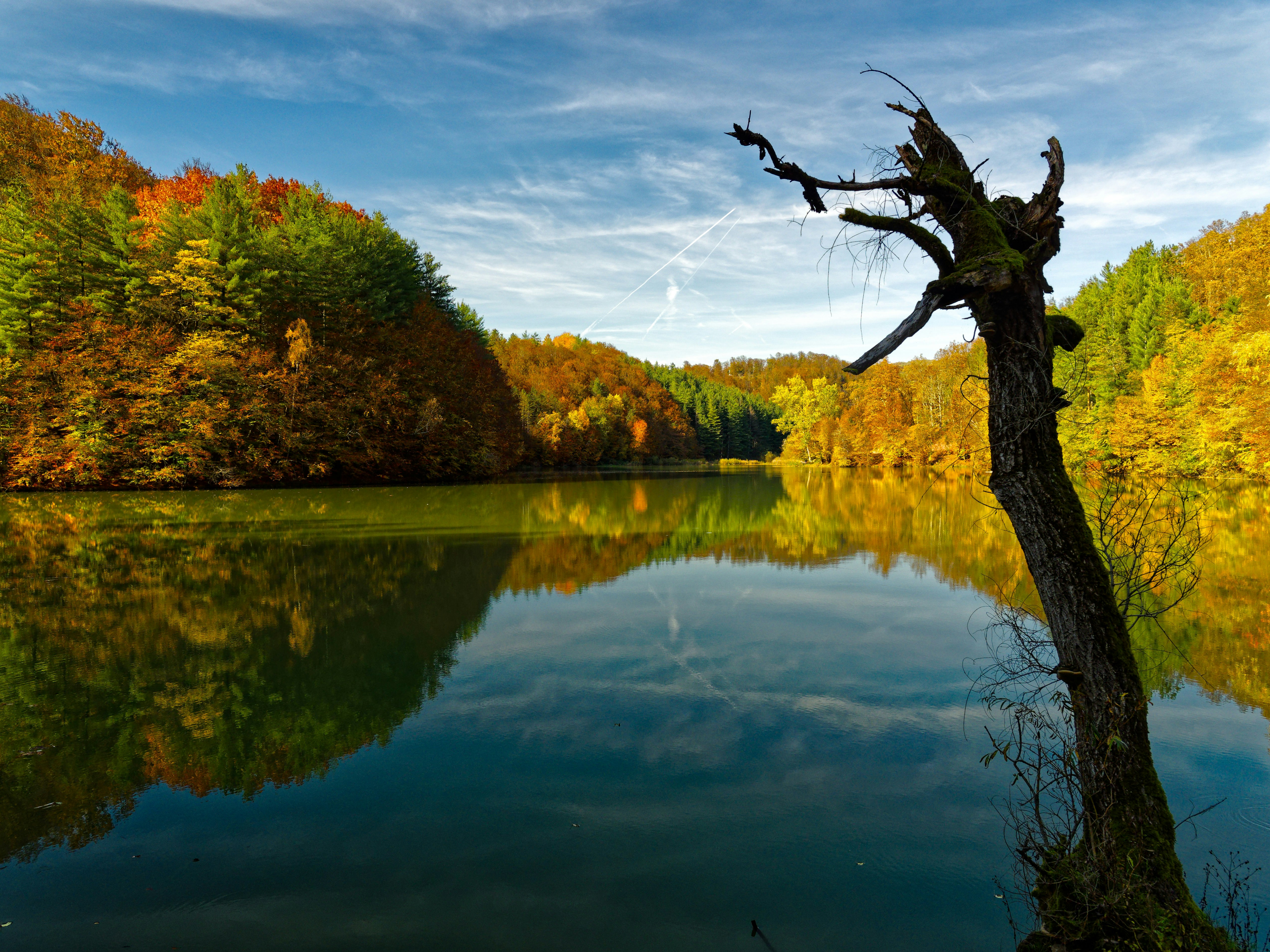 Photo by illes_cristi