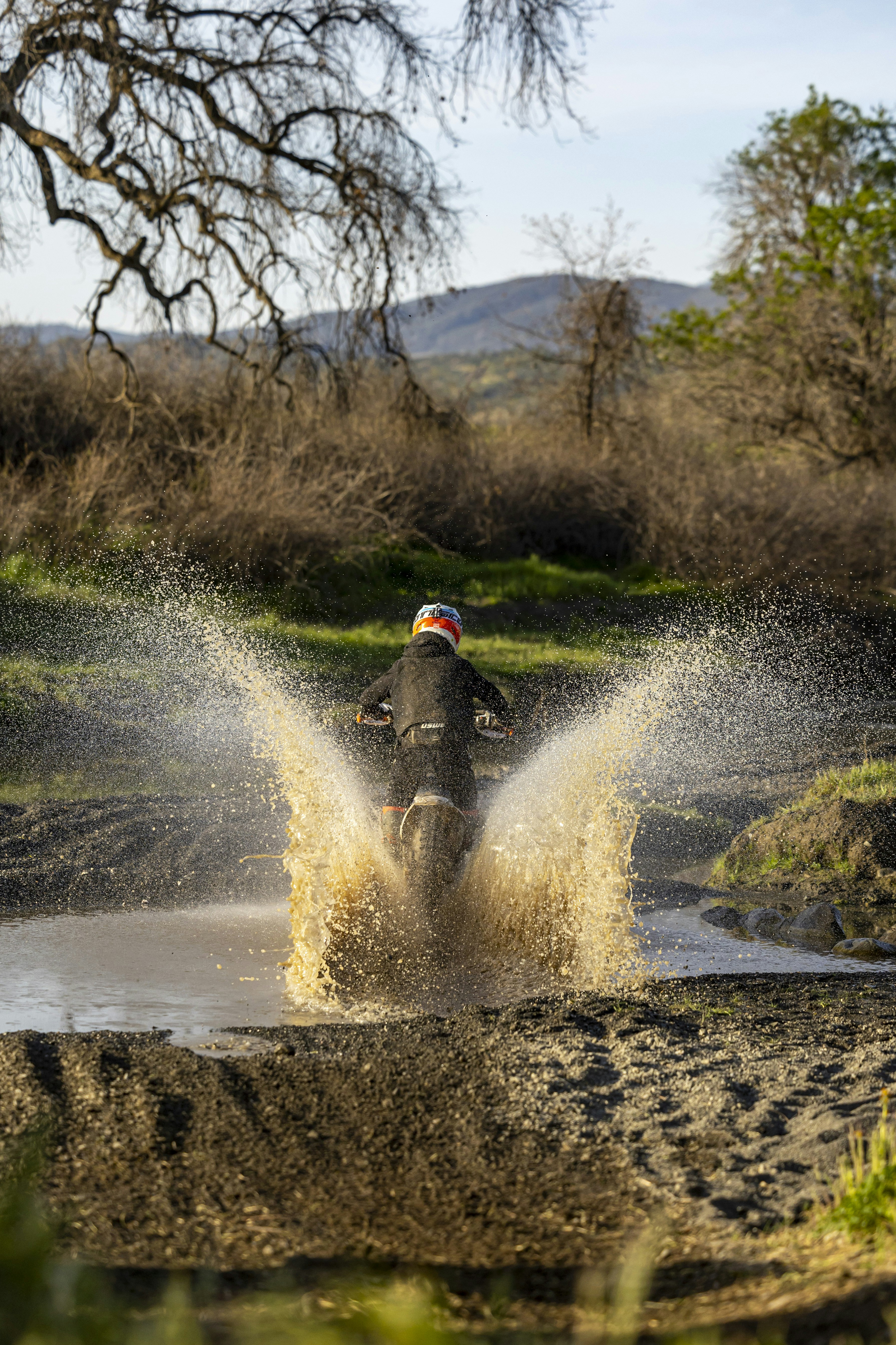 Photo by leo_visions_