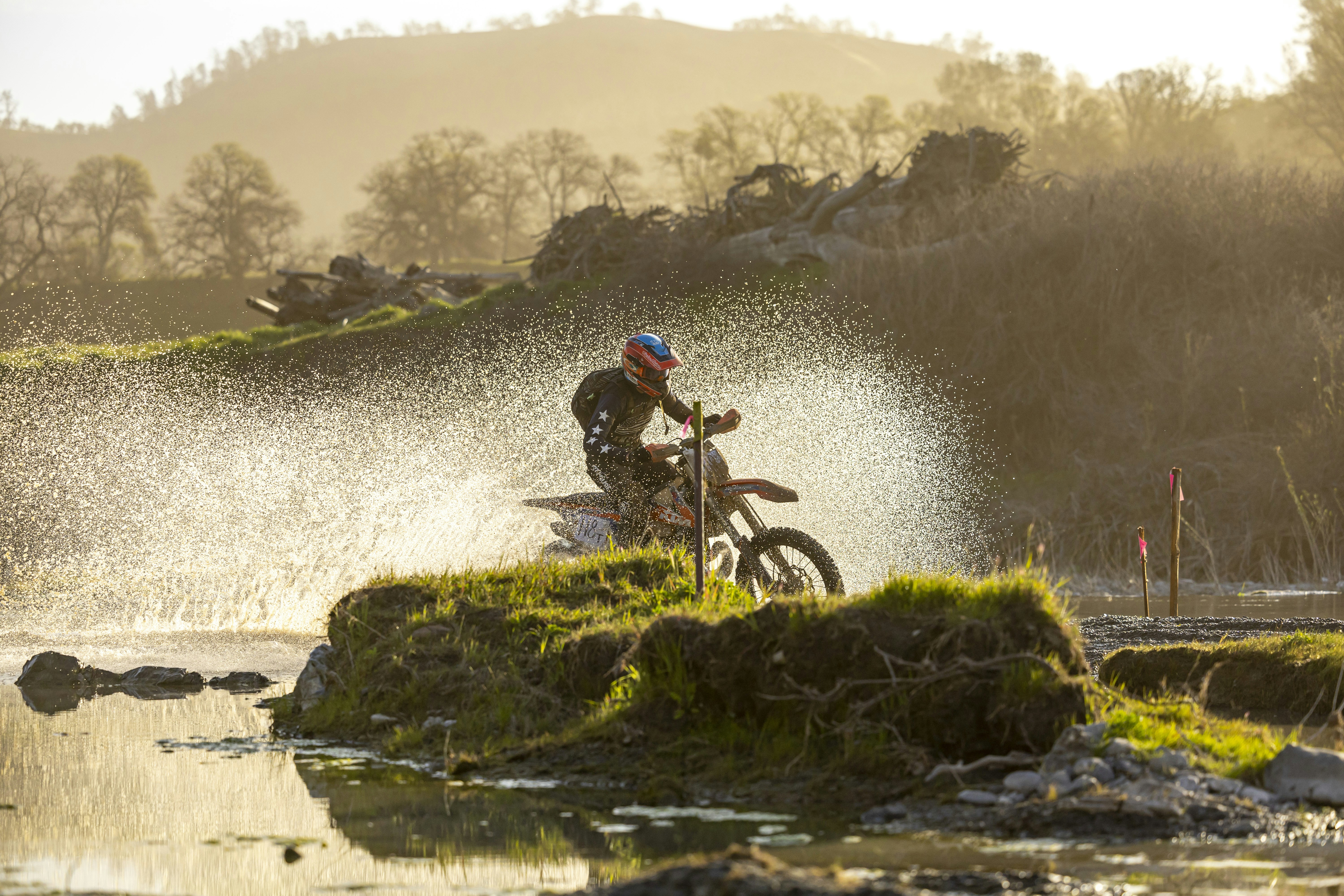 Photo by leo_visions_