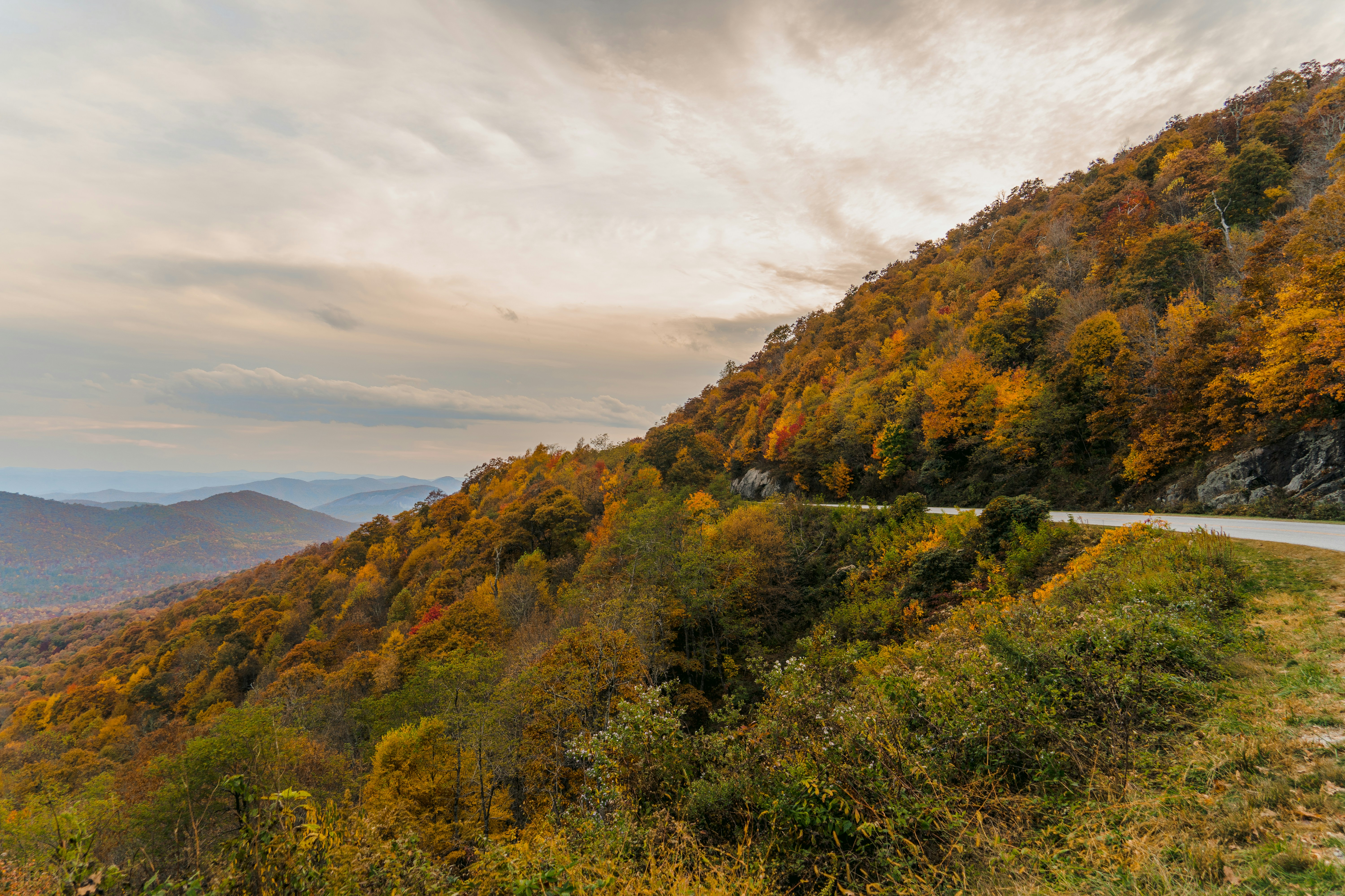 A landscape with trees and hills photo Free Blue ridge parkway Image