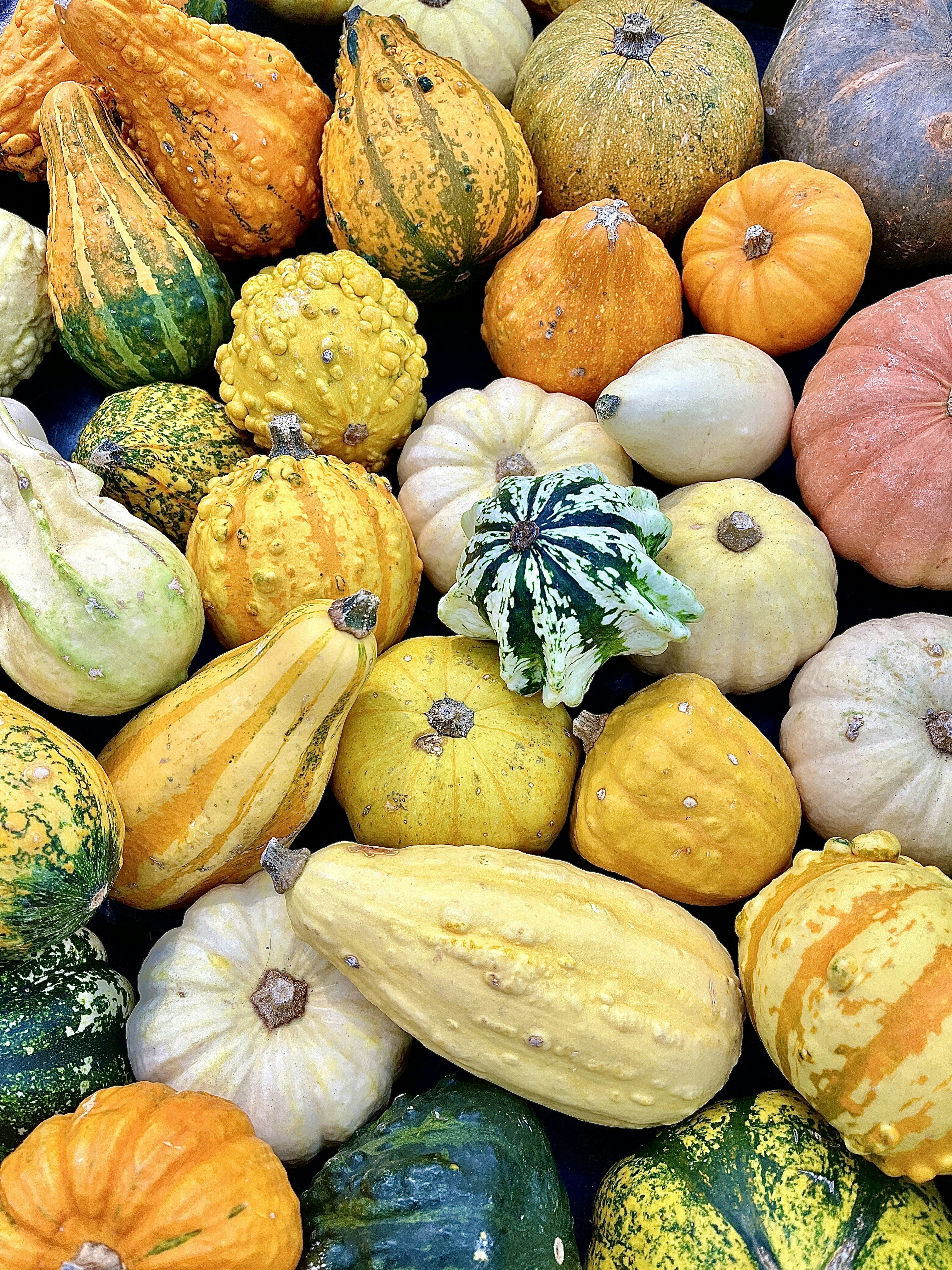 New Blood Tests Could Help Manage Your MS Better