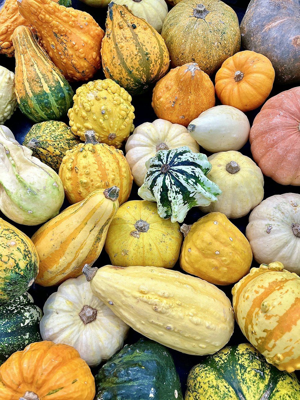 a pile of colorful vegetables