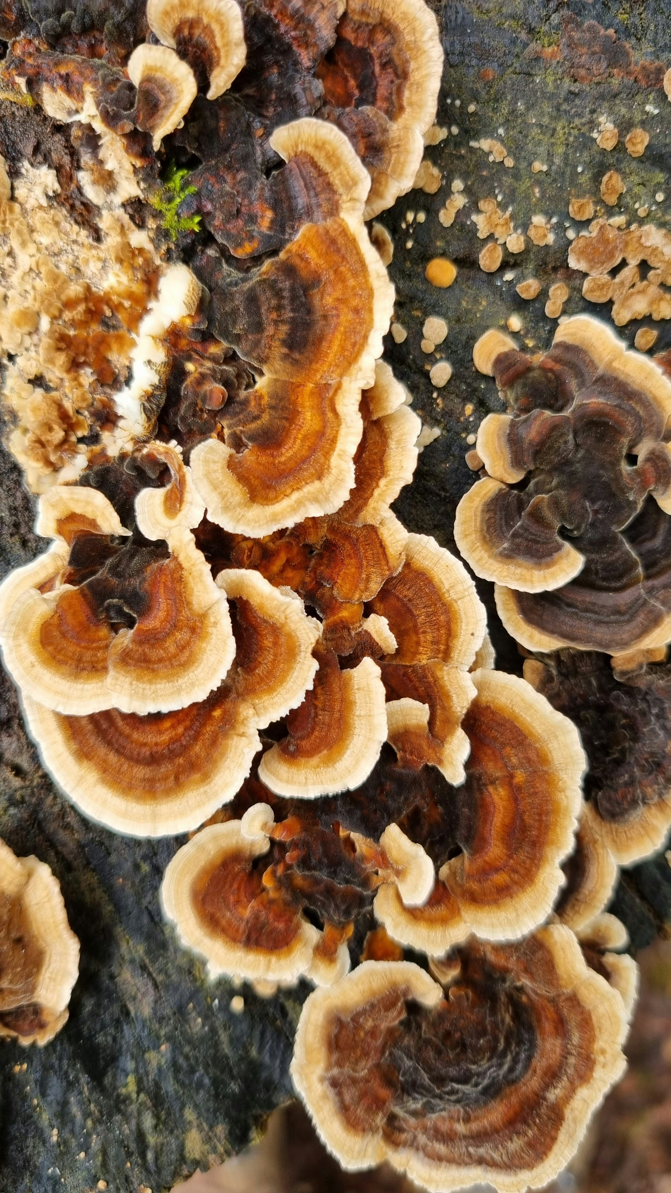 Photo by judith_carla