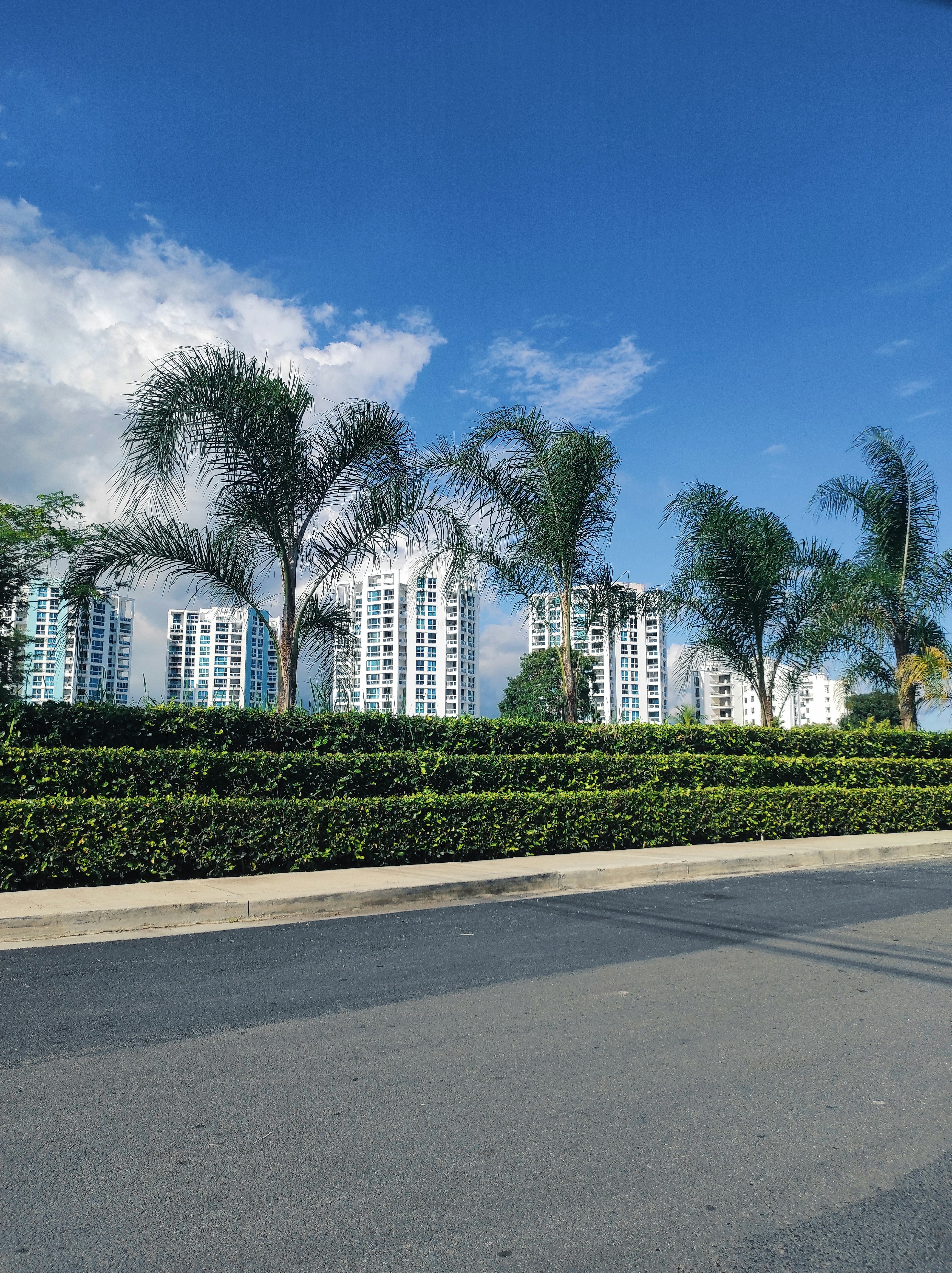 Photo by ahmedrangel