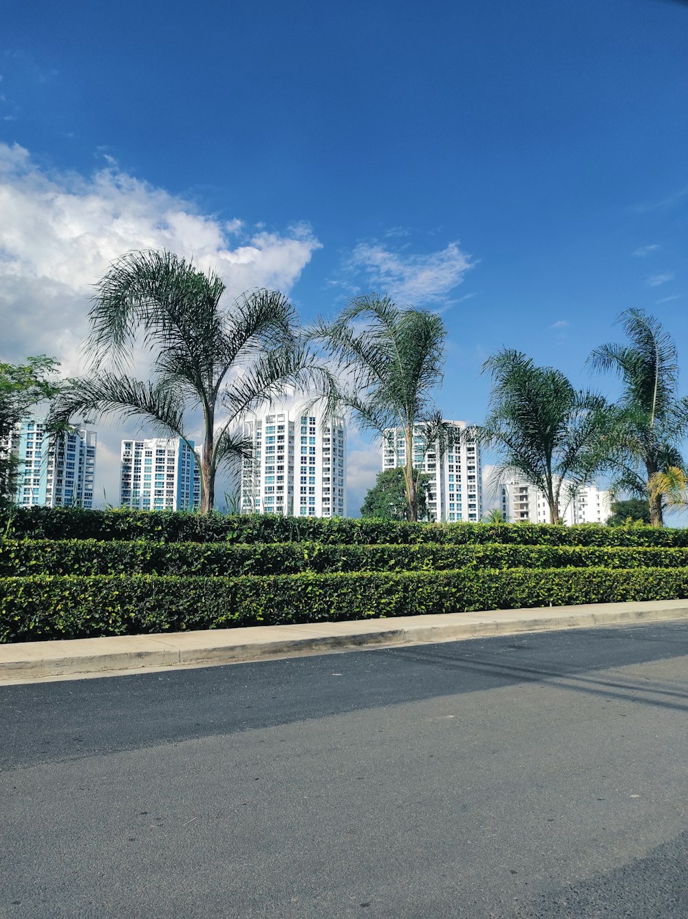 a building with trees and bushes in front of it