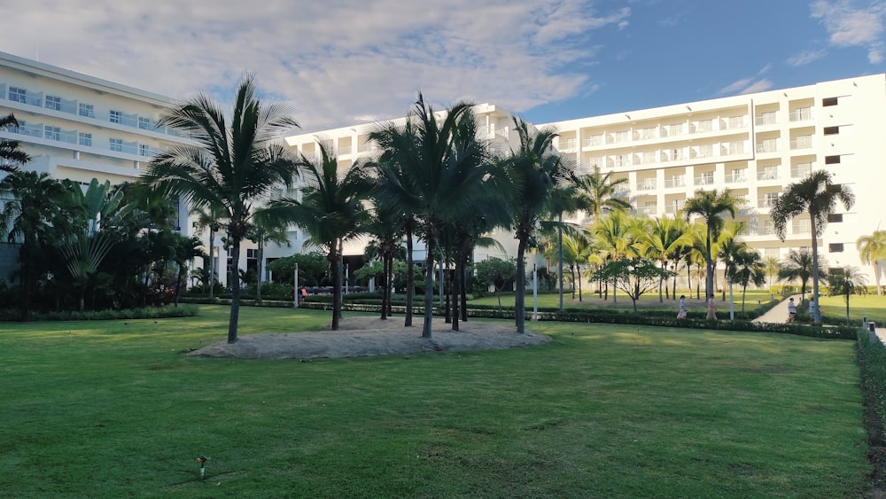 un edificio con palme e un prato di fronte