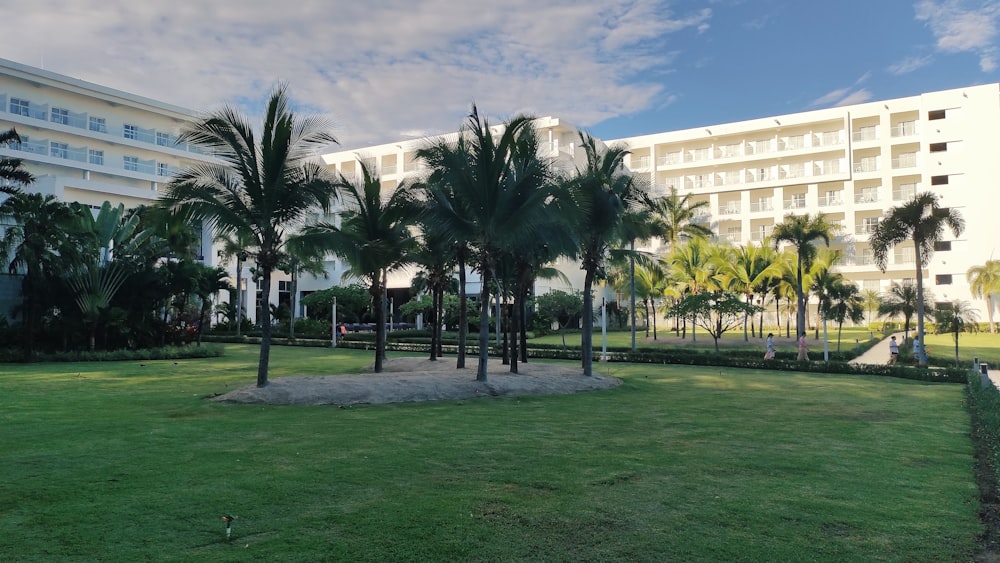 a building with palm trees and a lawn in front of it