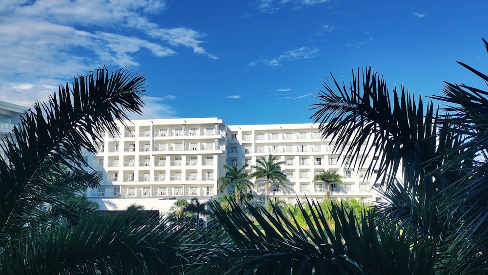 a building with palm trees in front of it