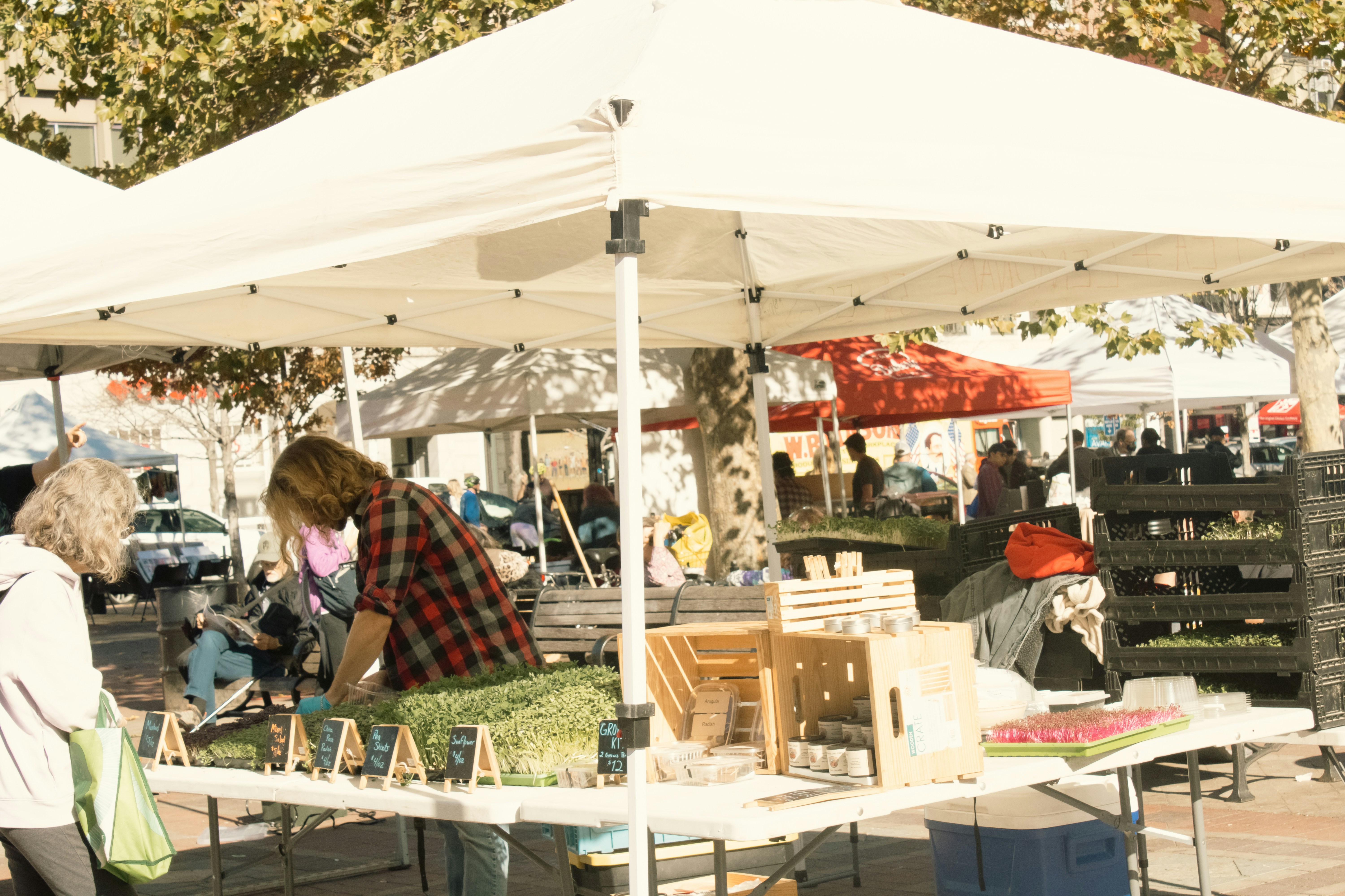 Photo by michaelsoto