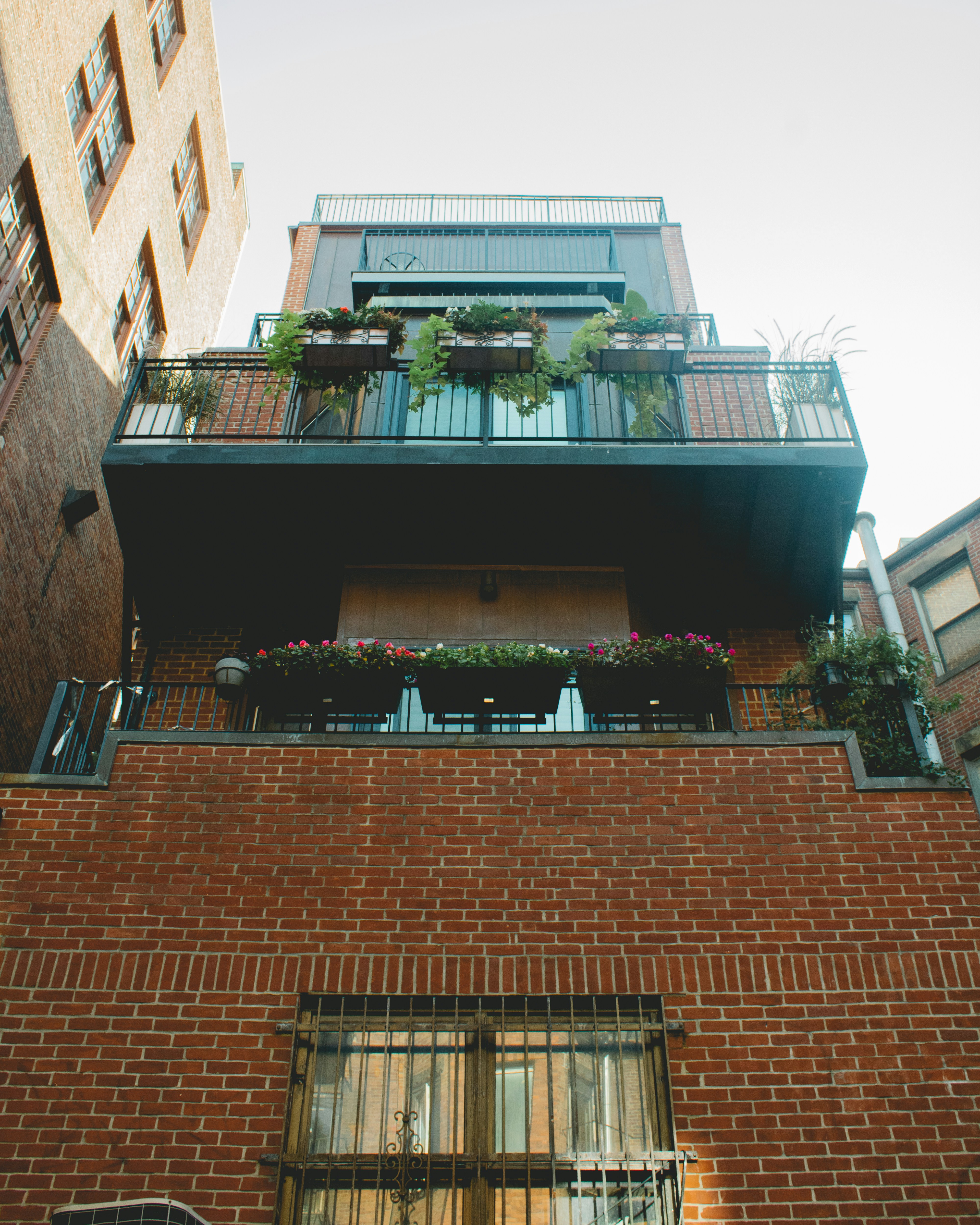 Photo by michaelsoto