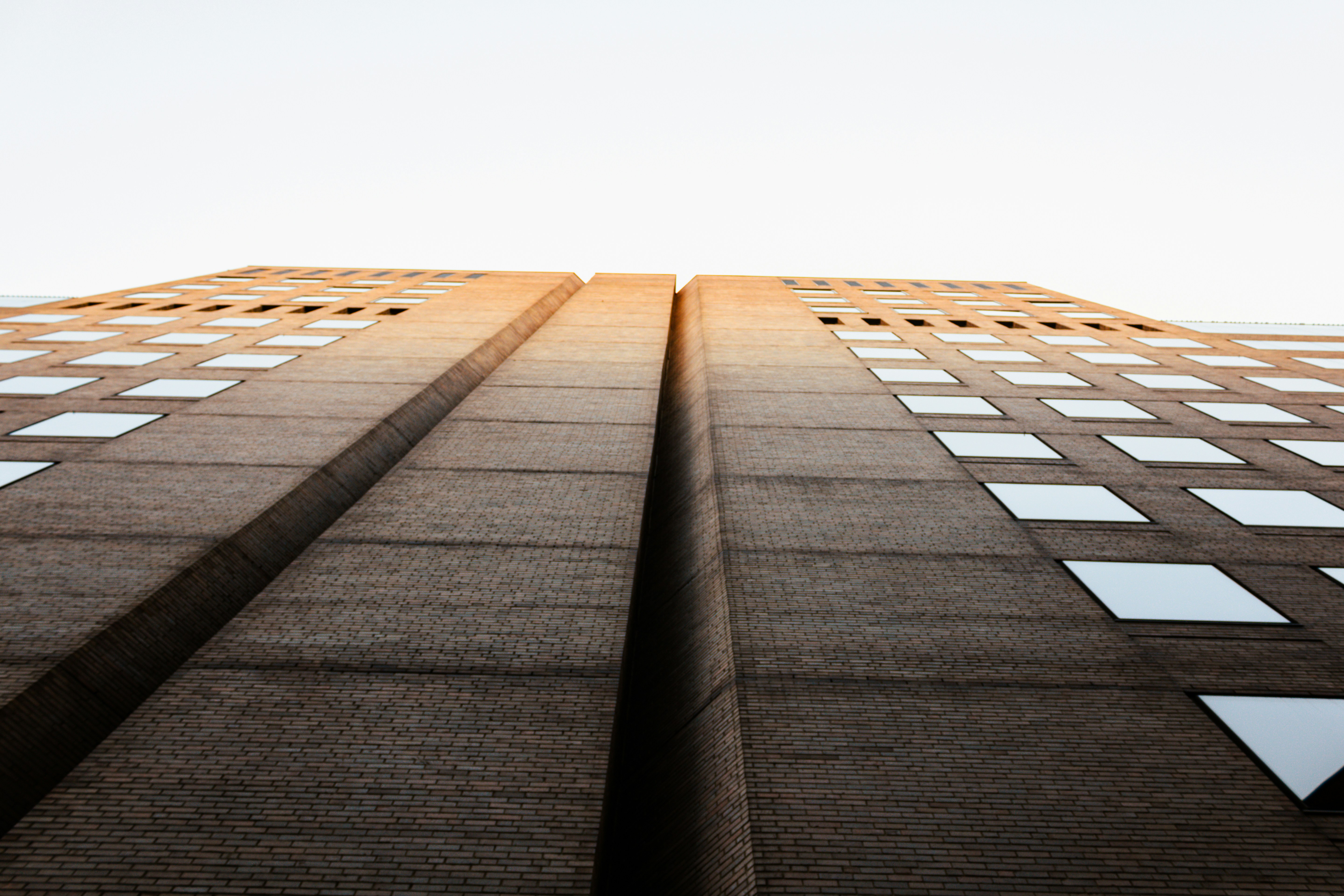 Photo by michaelsoto